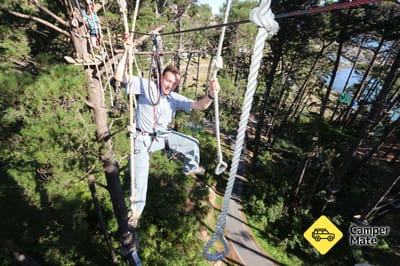 Adrenalin Forest - Auckland