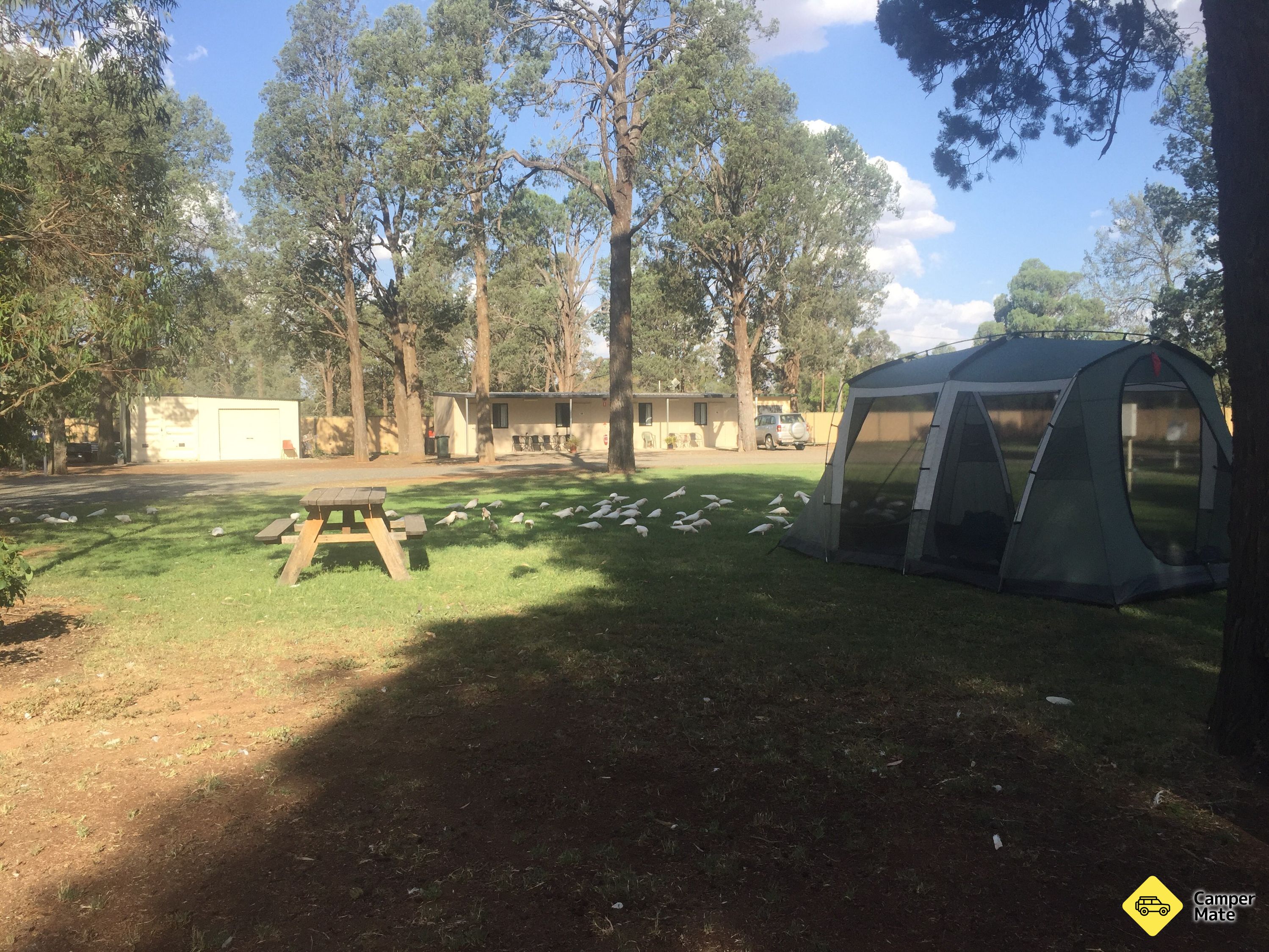 Berrigan Lions Caravan Park