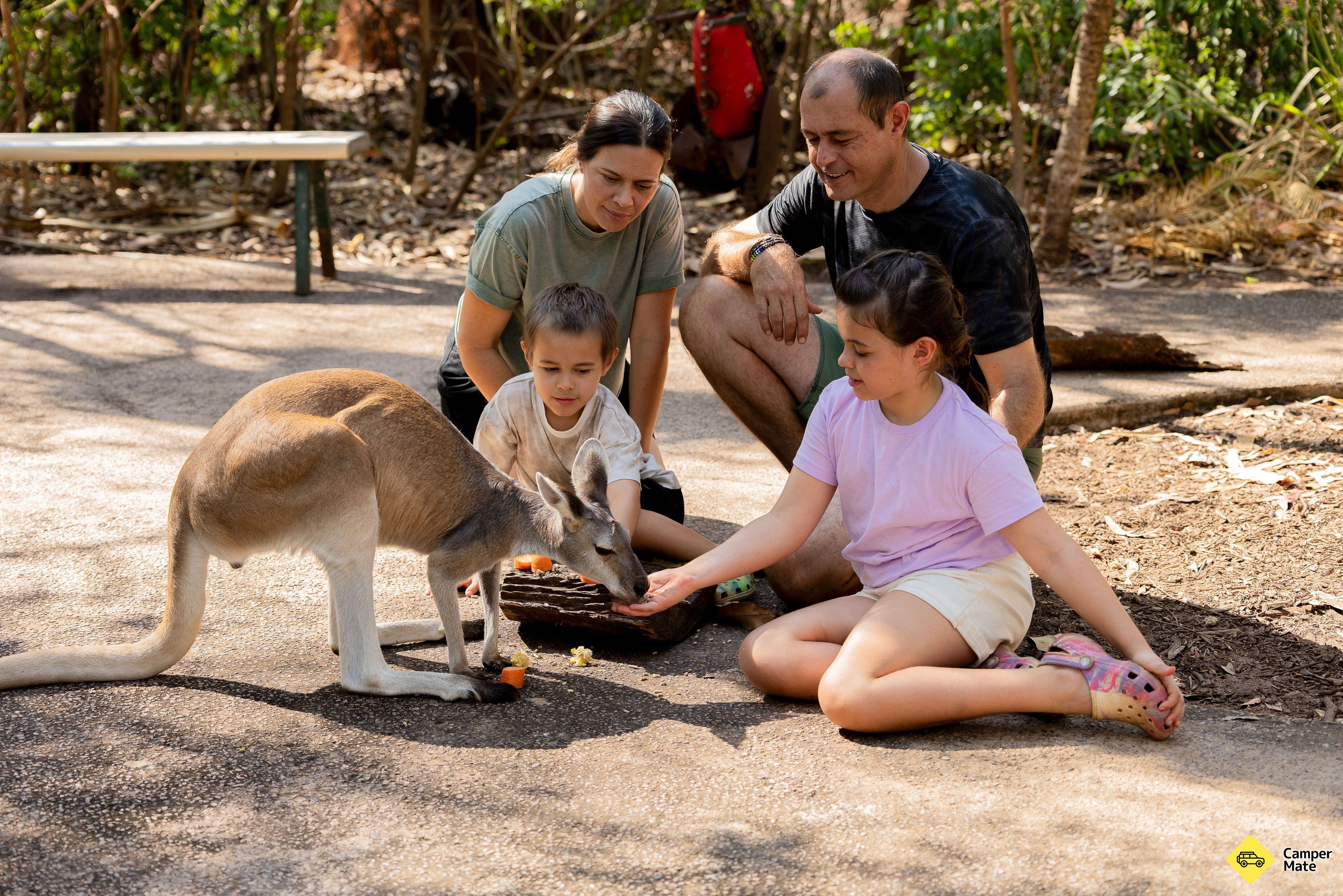 Territory Wildlife Park - Image 3