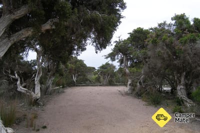 Seal Creek campingplads