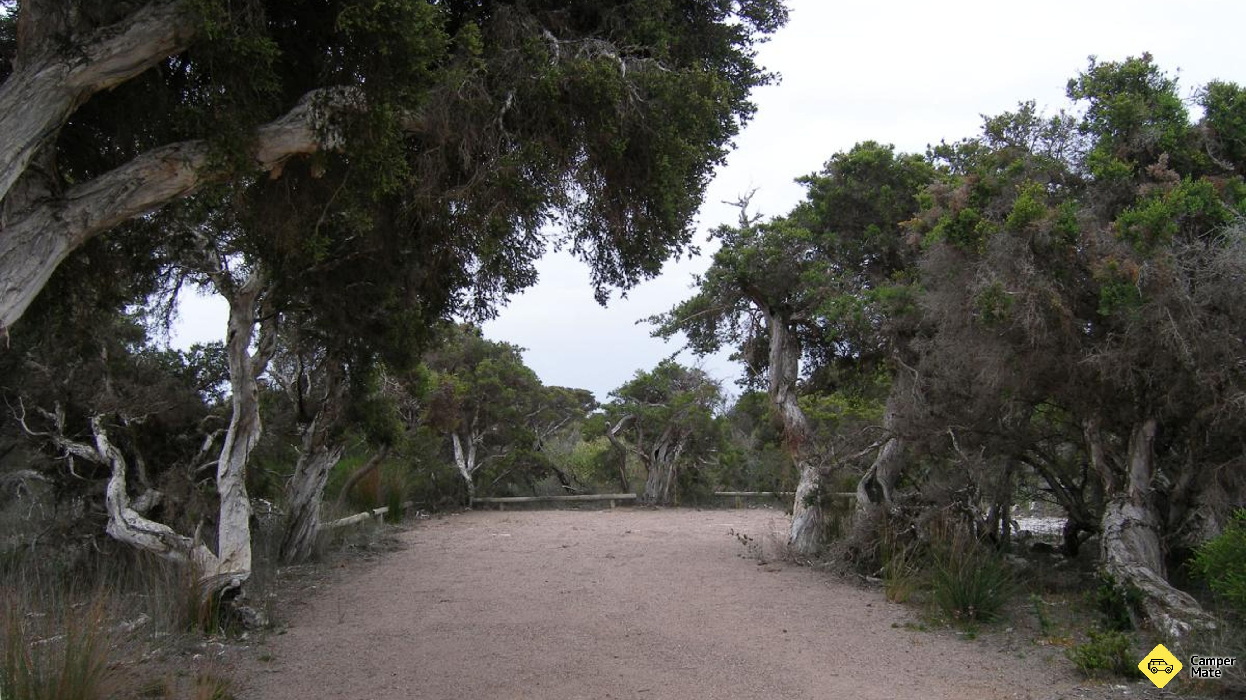 Seal Creek Campground