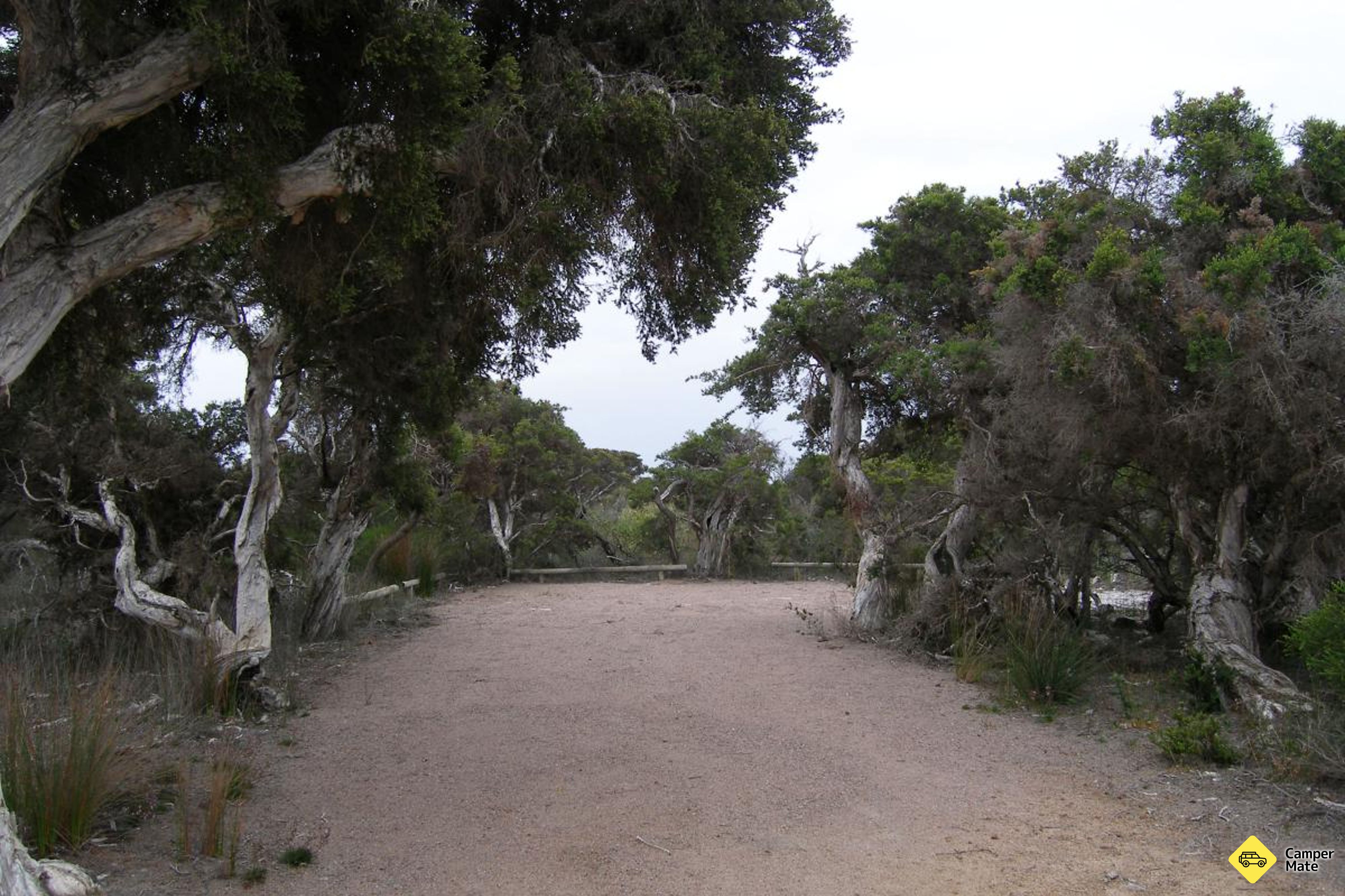 Seal Creek Campground