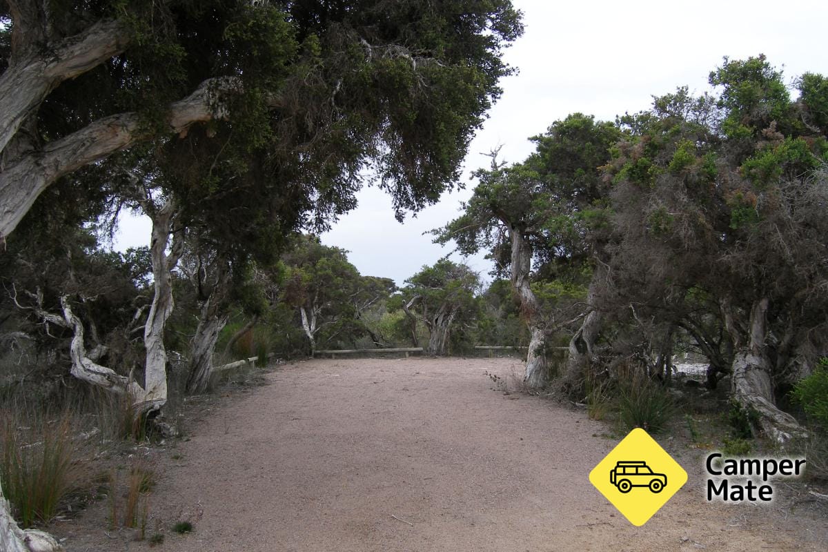 Seal Creek campingplads