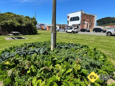 Bluff Street Park