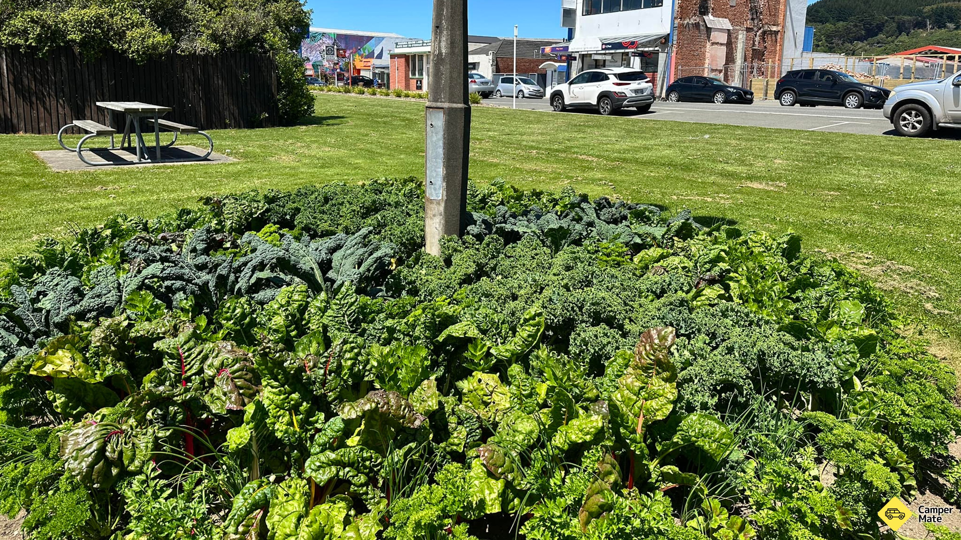 Der Bluff Street Park