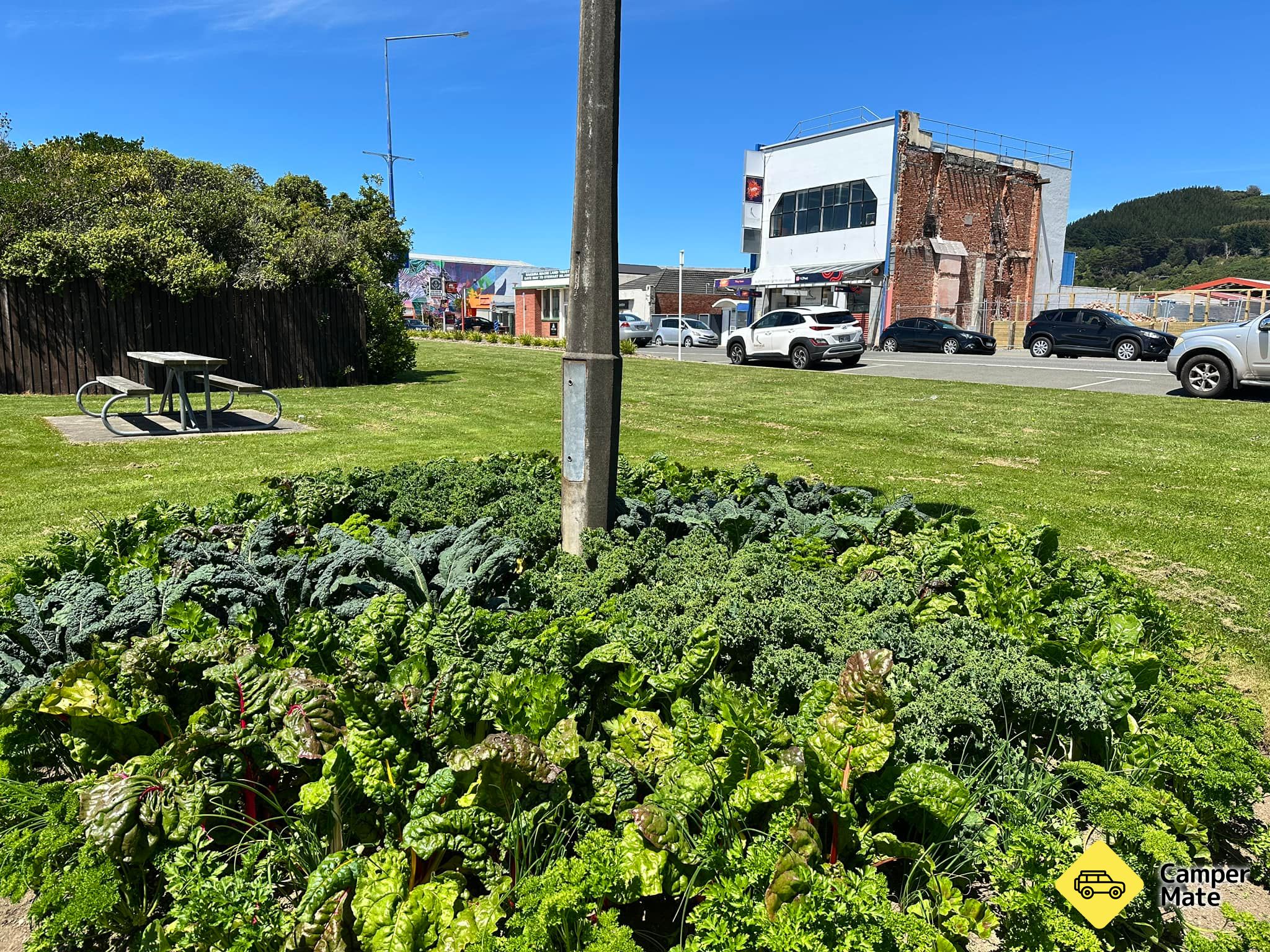 Bluff Street Park