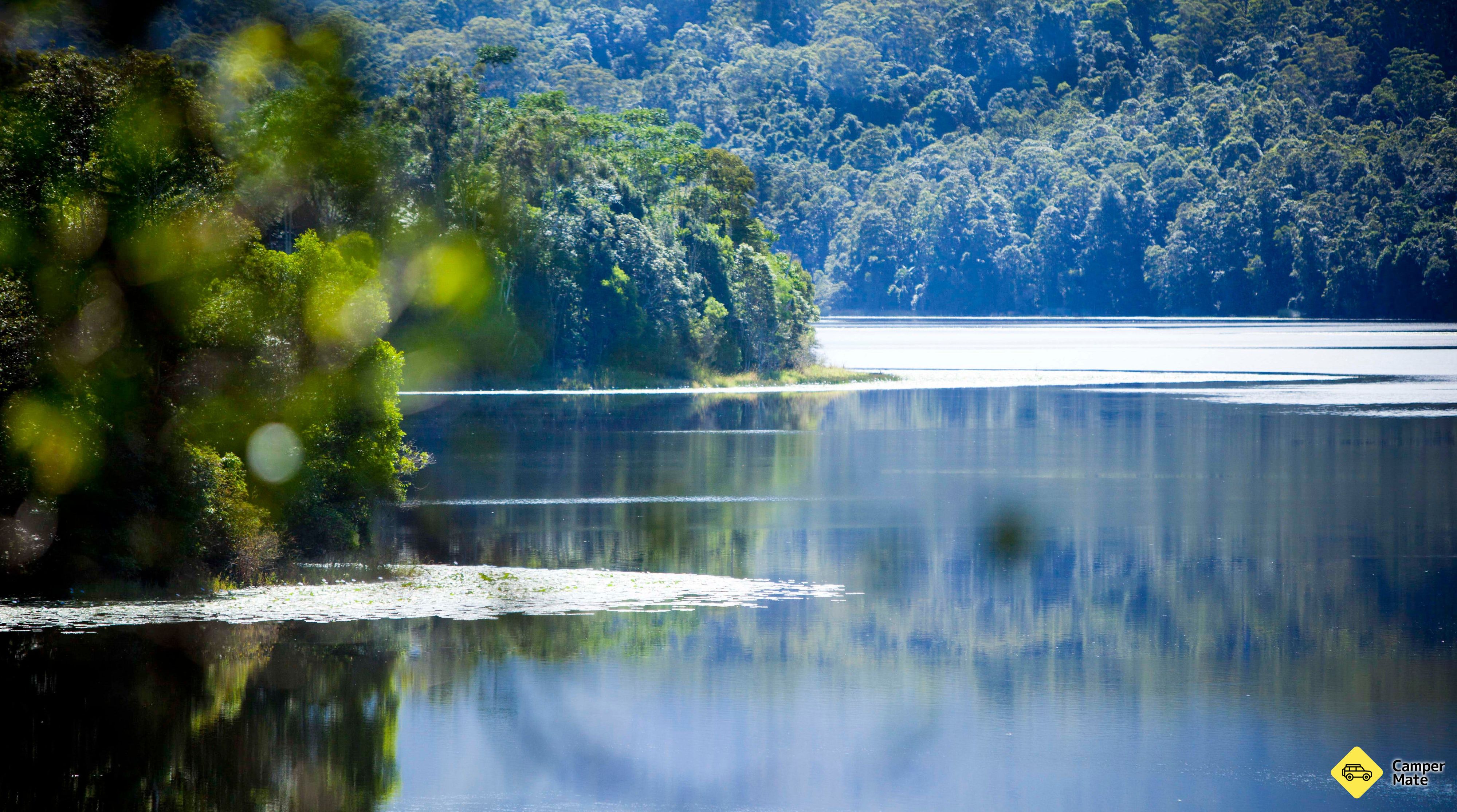 De Rocky Creek dam