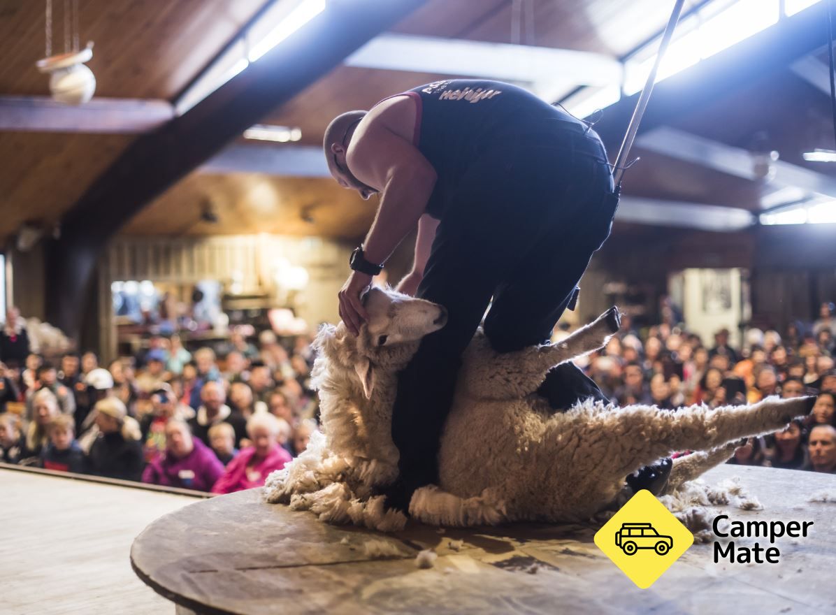 Agrodome Rotorua