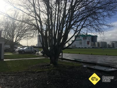 Edendale Camping Area