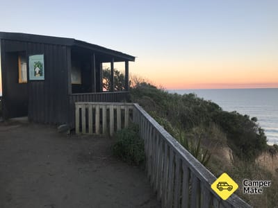 Bushy Beach Penguin Spotting