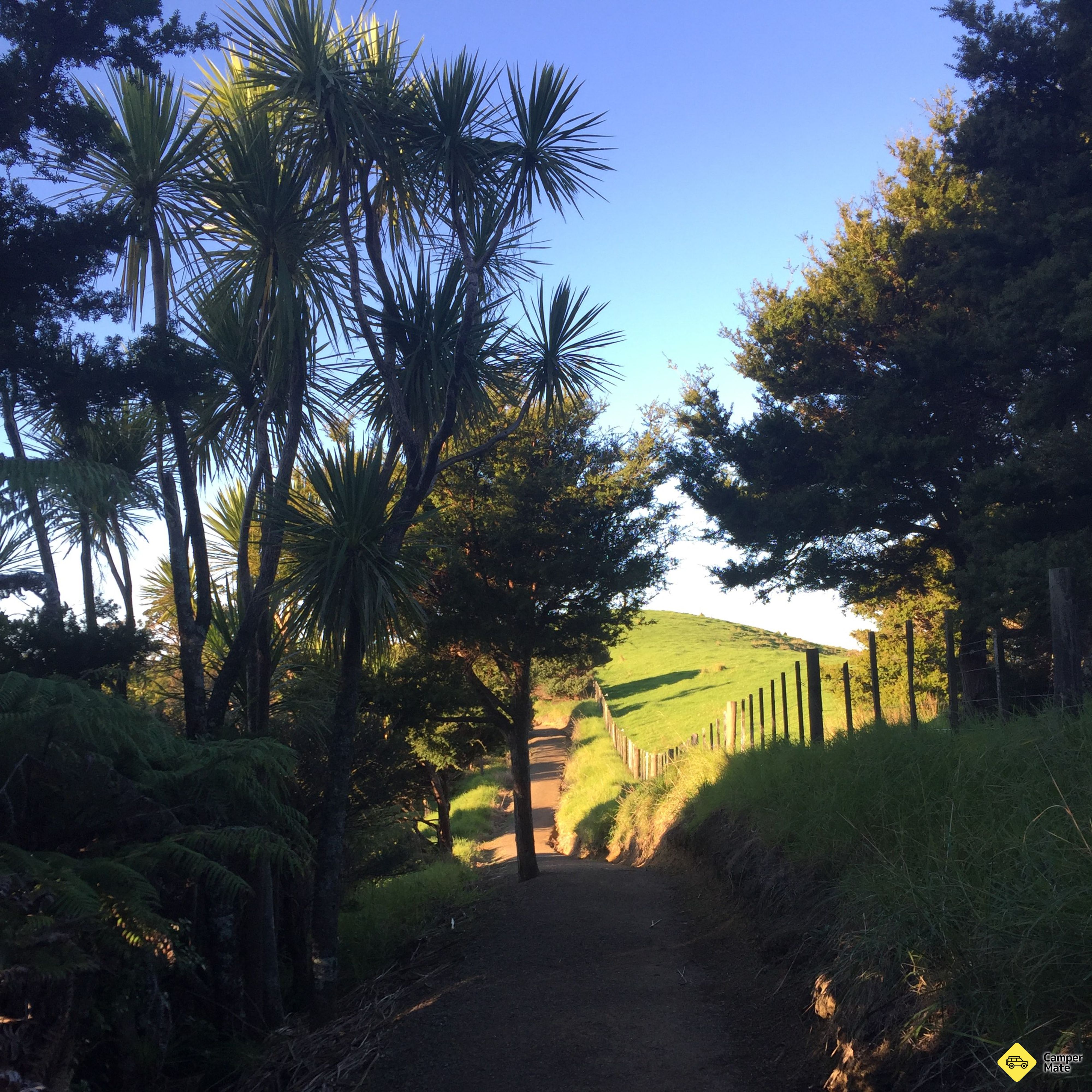 Matapouri Headland Track and Viewpoint - Image 2
