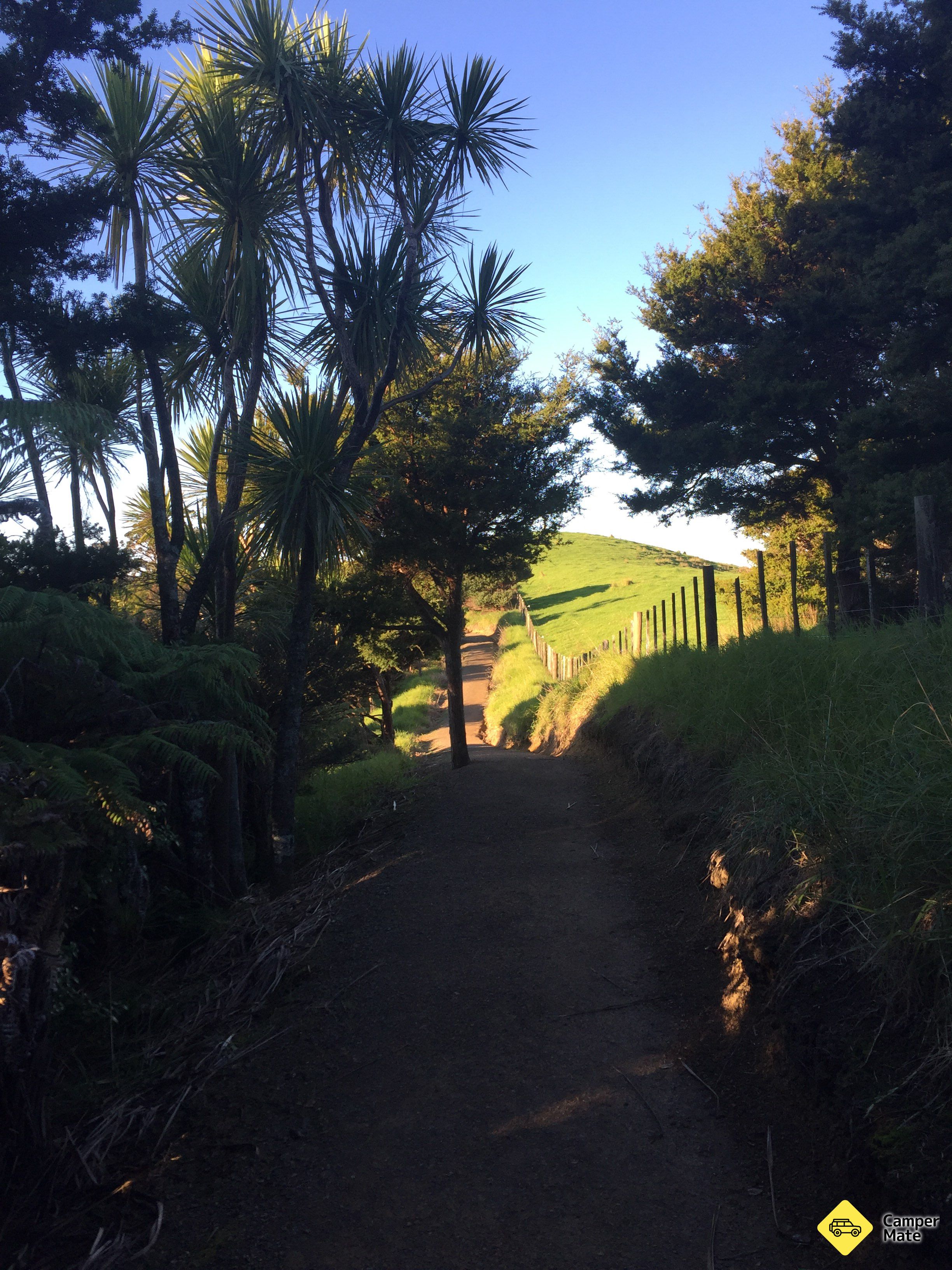 Matapouri Headland Track and Viewpoint - Image 2