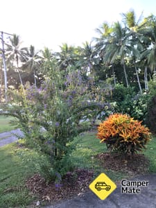 Hal yang dapat dilakukan di dekat Newell Beach Caravan Park and Holiday Units