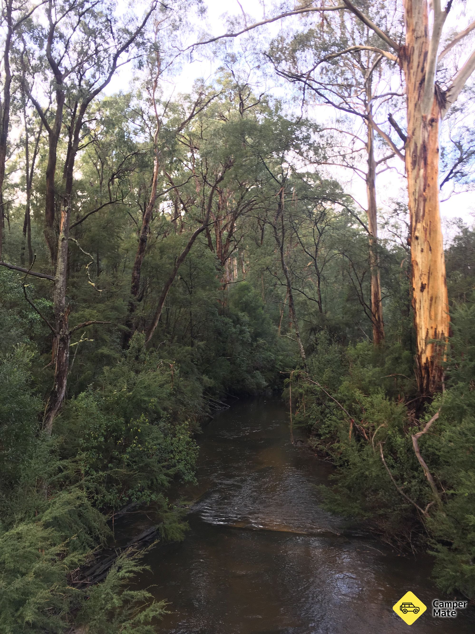 Seninis Campground - Image 3