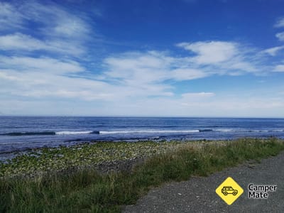Meat Works Surf Break