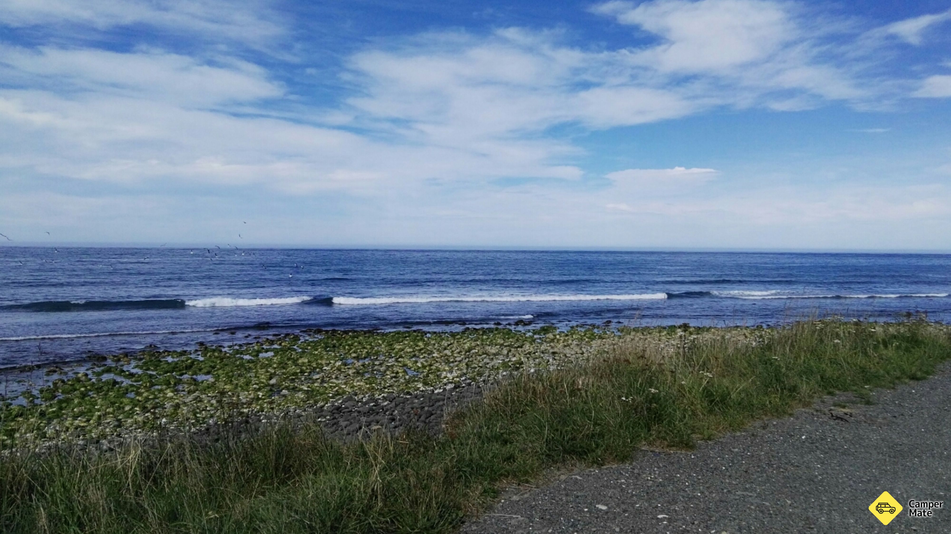 Meat Works Surf Break előzetes
