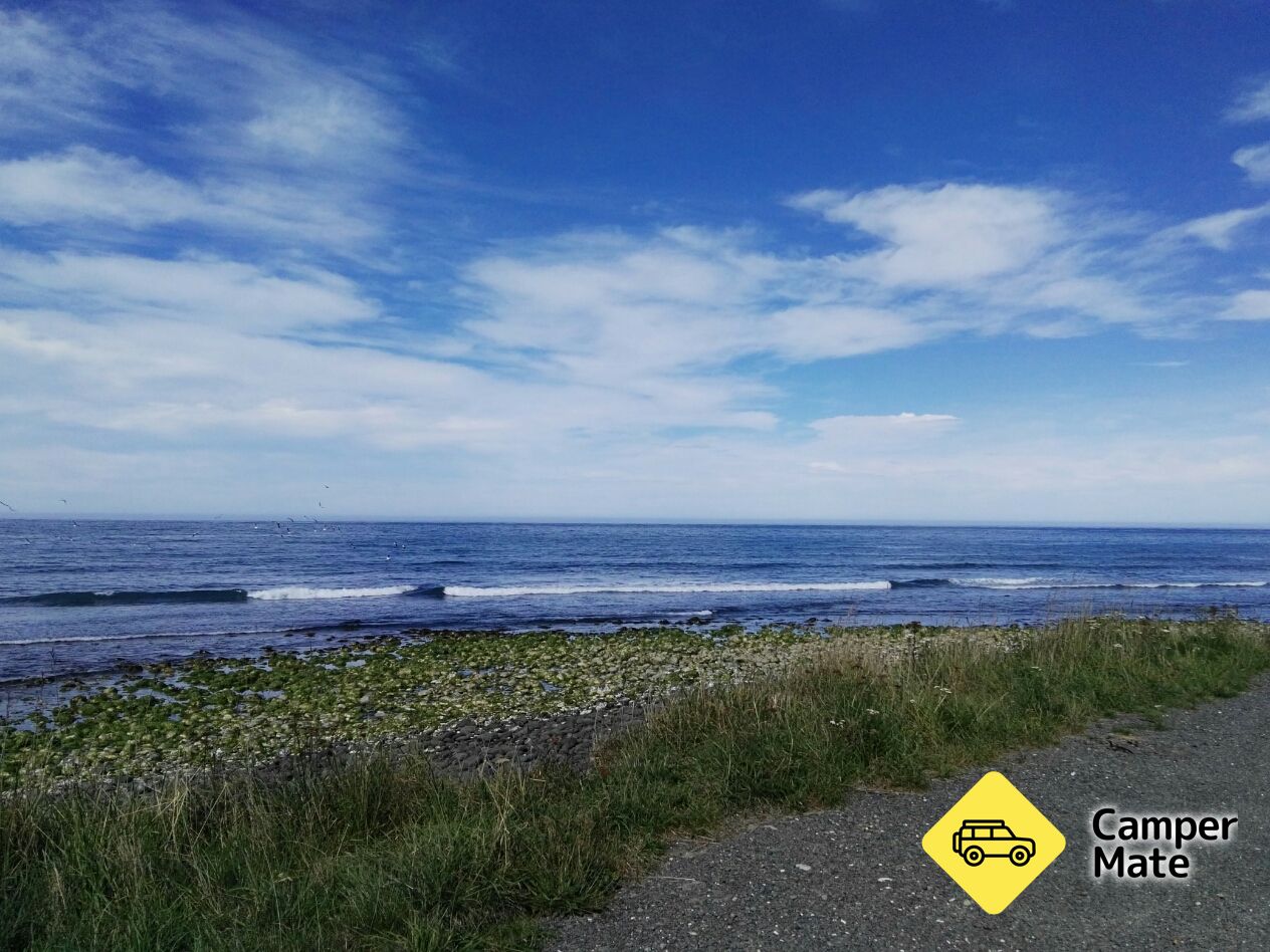 Meat Works Surf Break