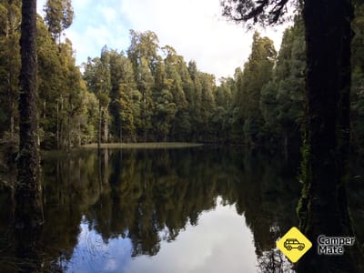 Waihora Lagoon kävelee