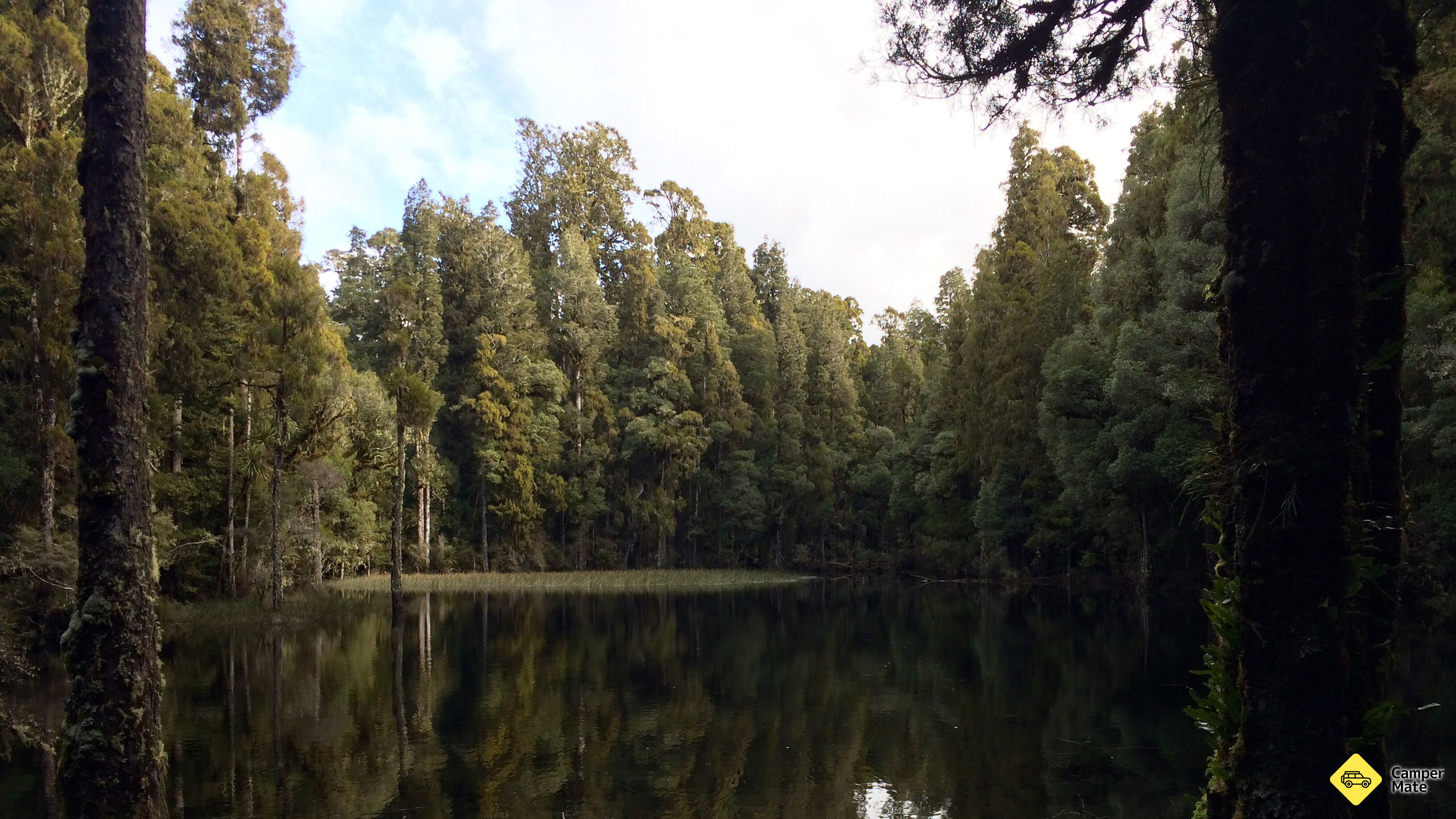Waihora Lagoon kävelee