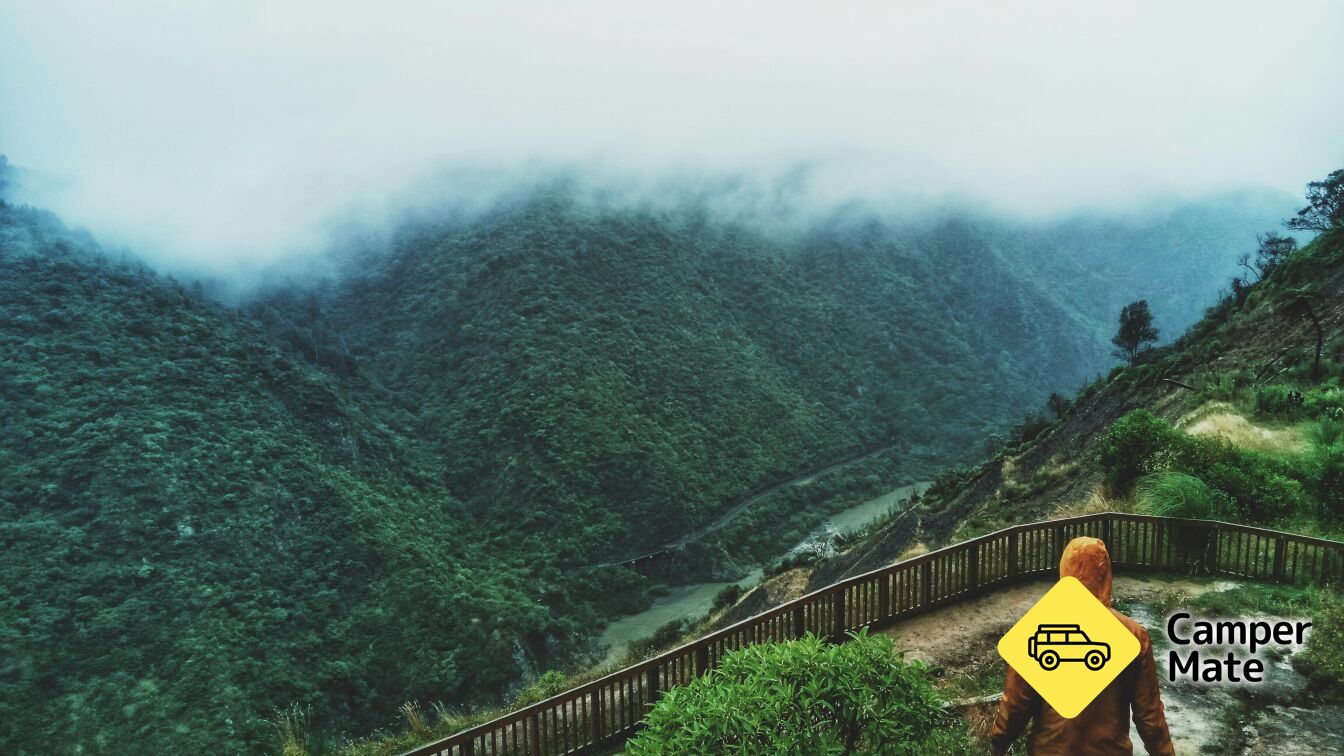 马纳瓦图(Manawatu Gorge Walk) - Image 3