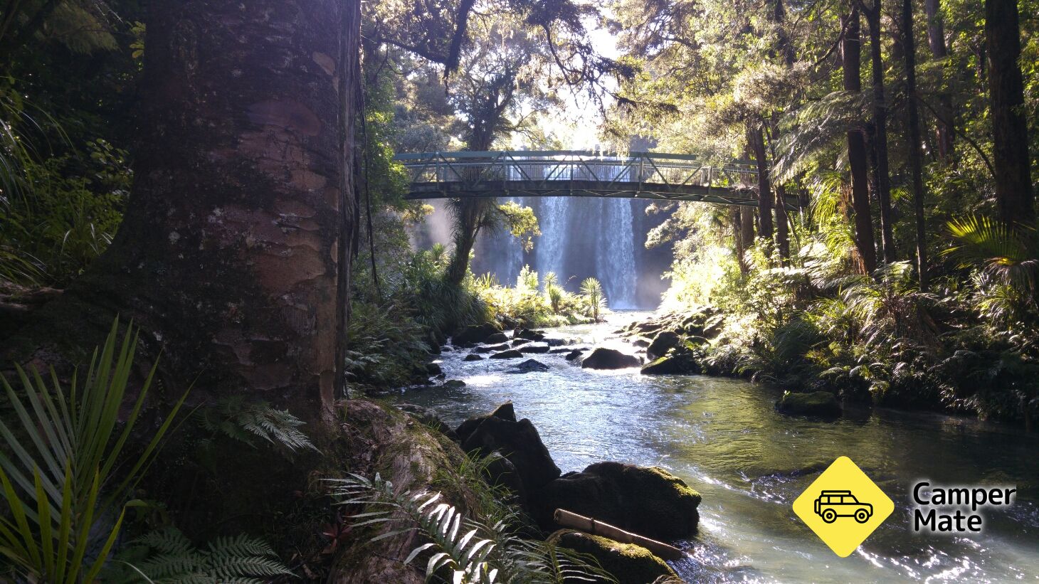 Whangarei Falls - Image 3
