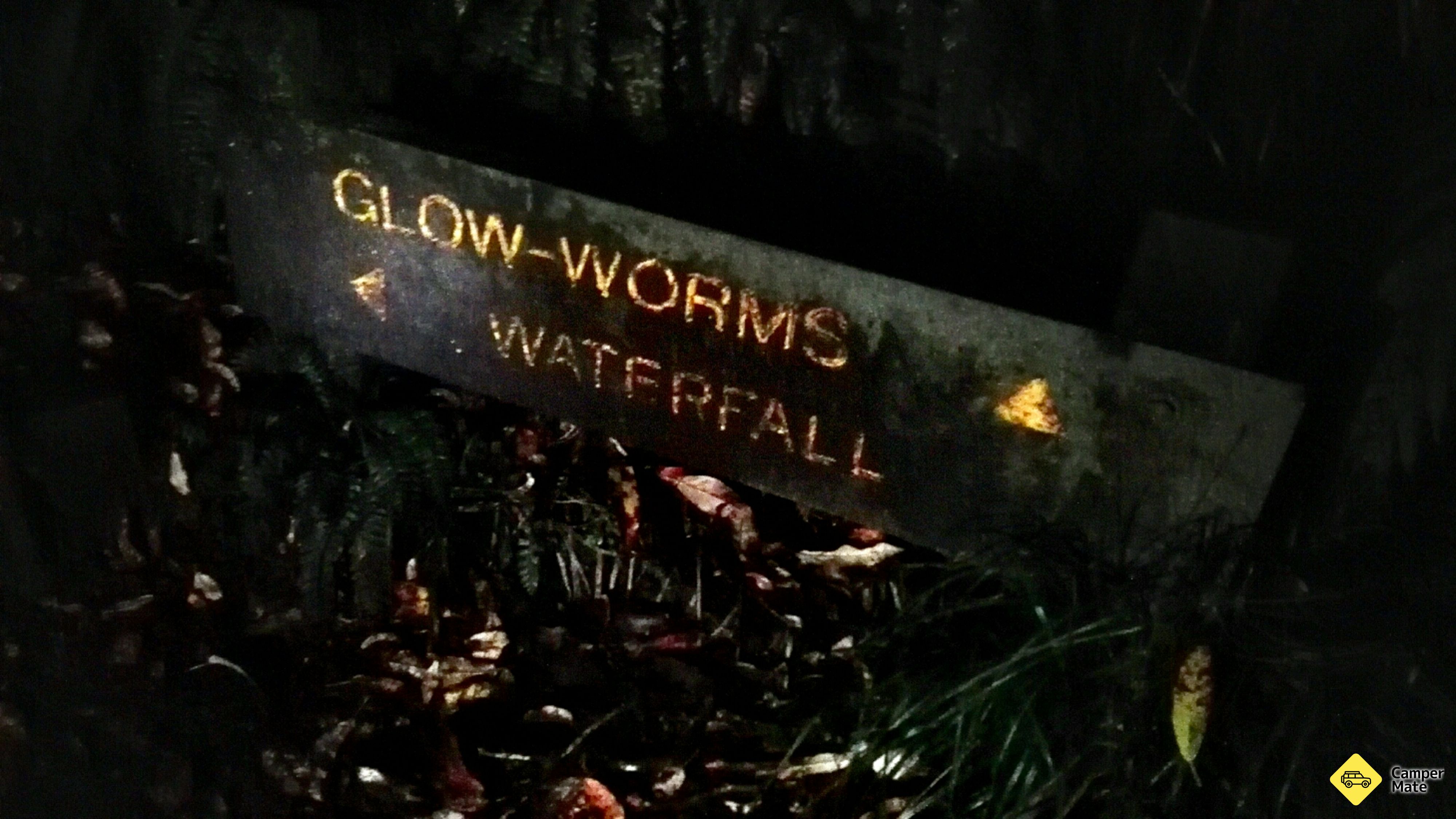 Glow Worm Cave & Waterfall
