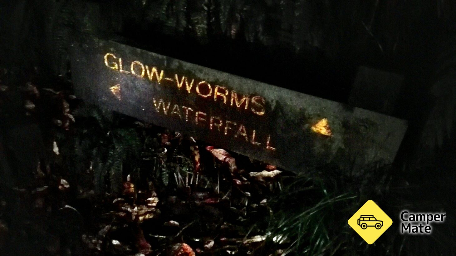 Glow Worm Cave & Waterfall