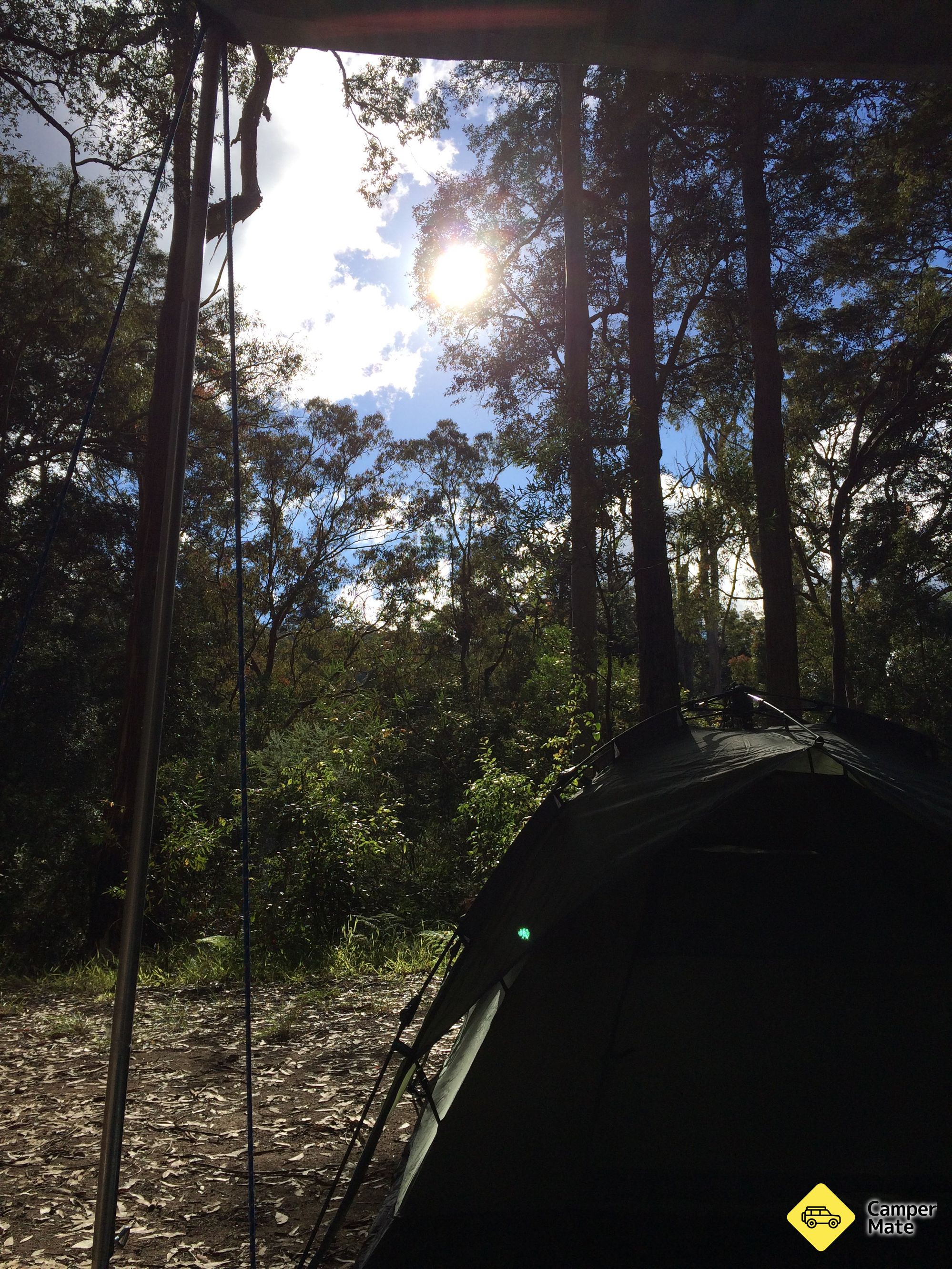 Murphys Glen campsite  - Image 2