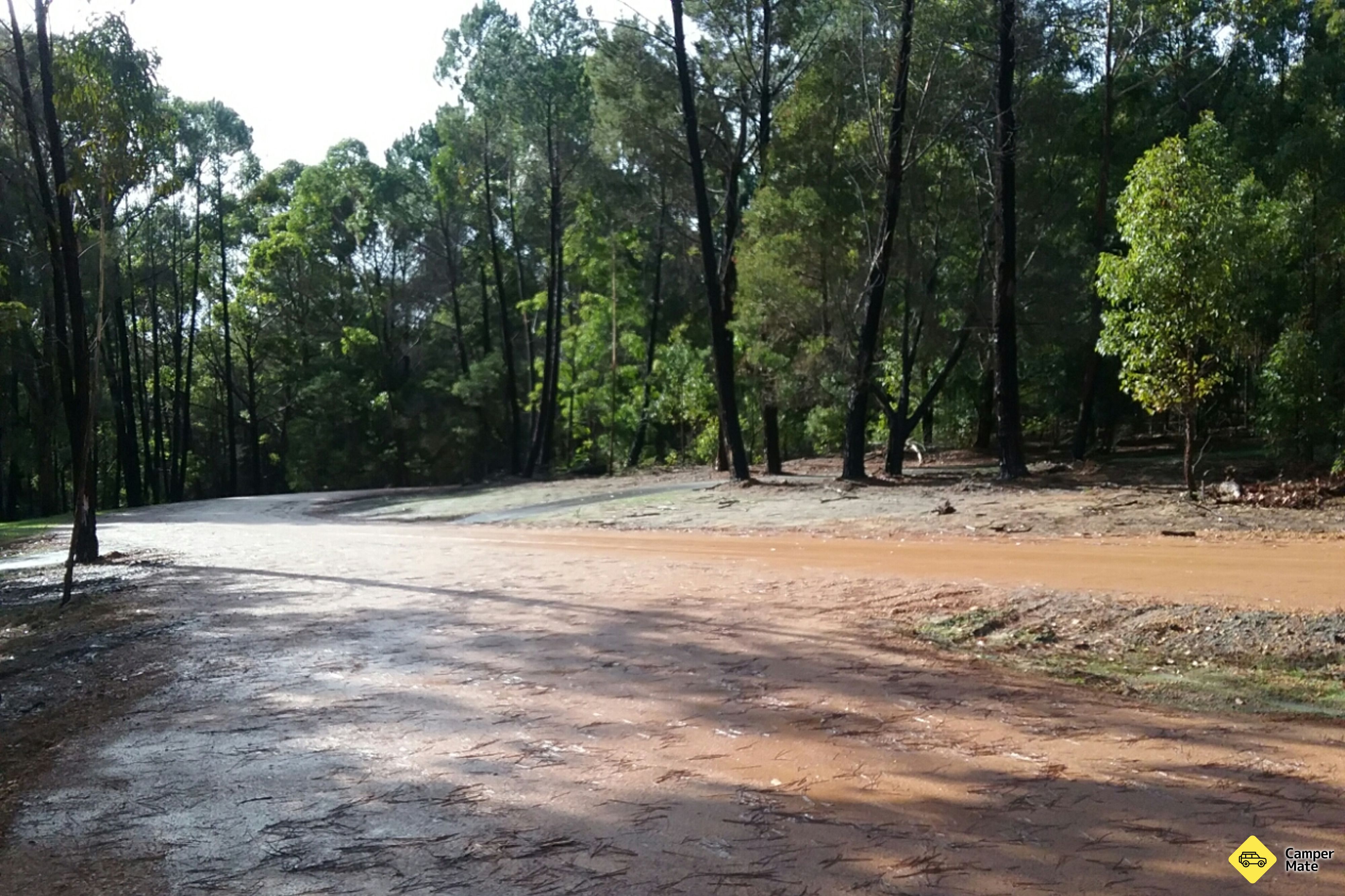 Shannon Campground