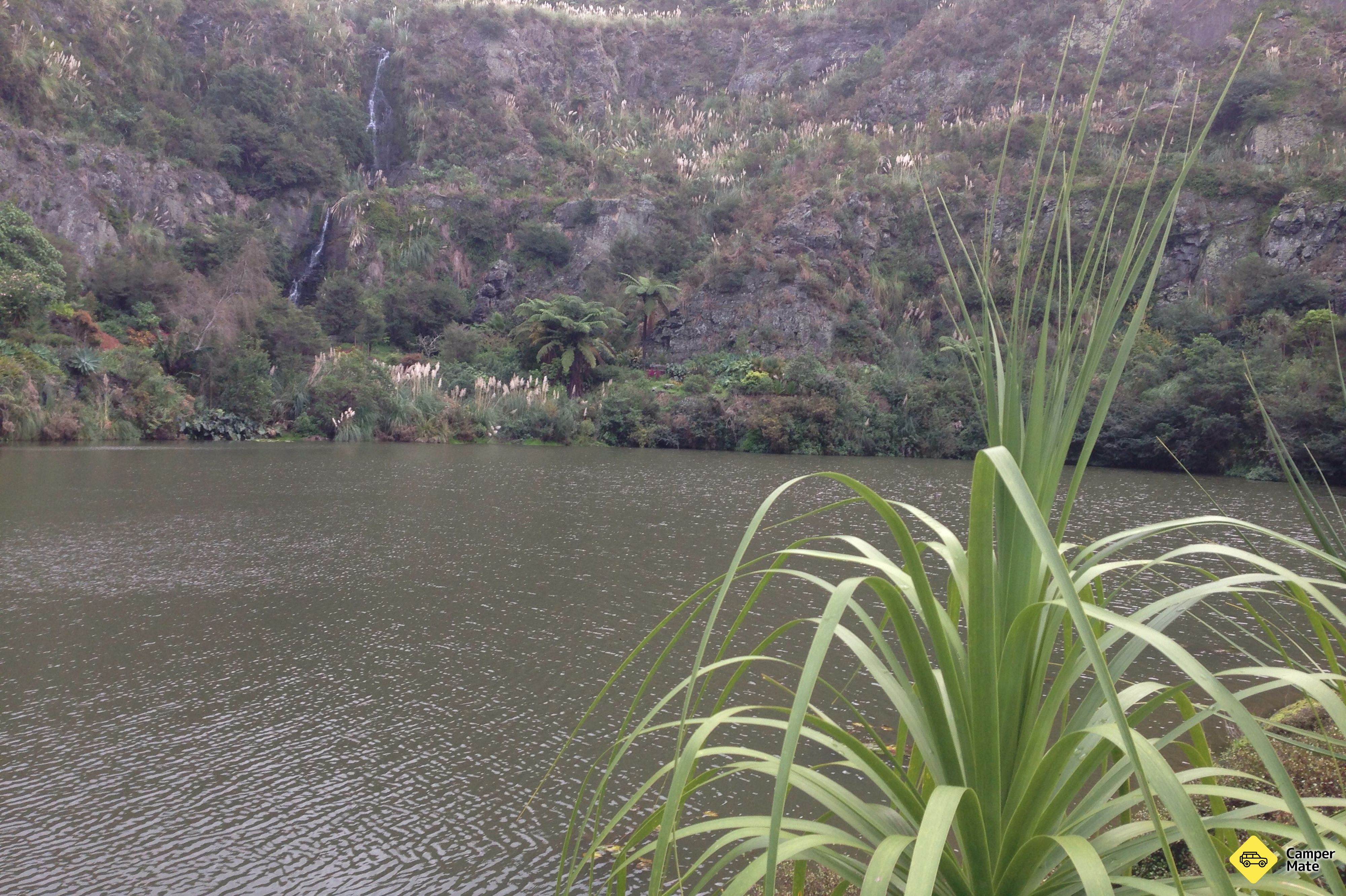 Whangarei Quarry Gardens(ワンガリー・クアリー・ガーデンズ) - Image 2