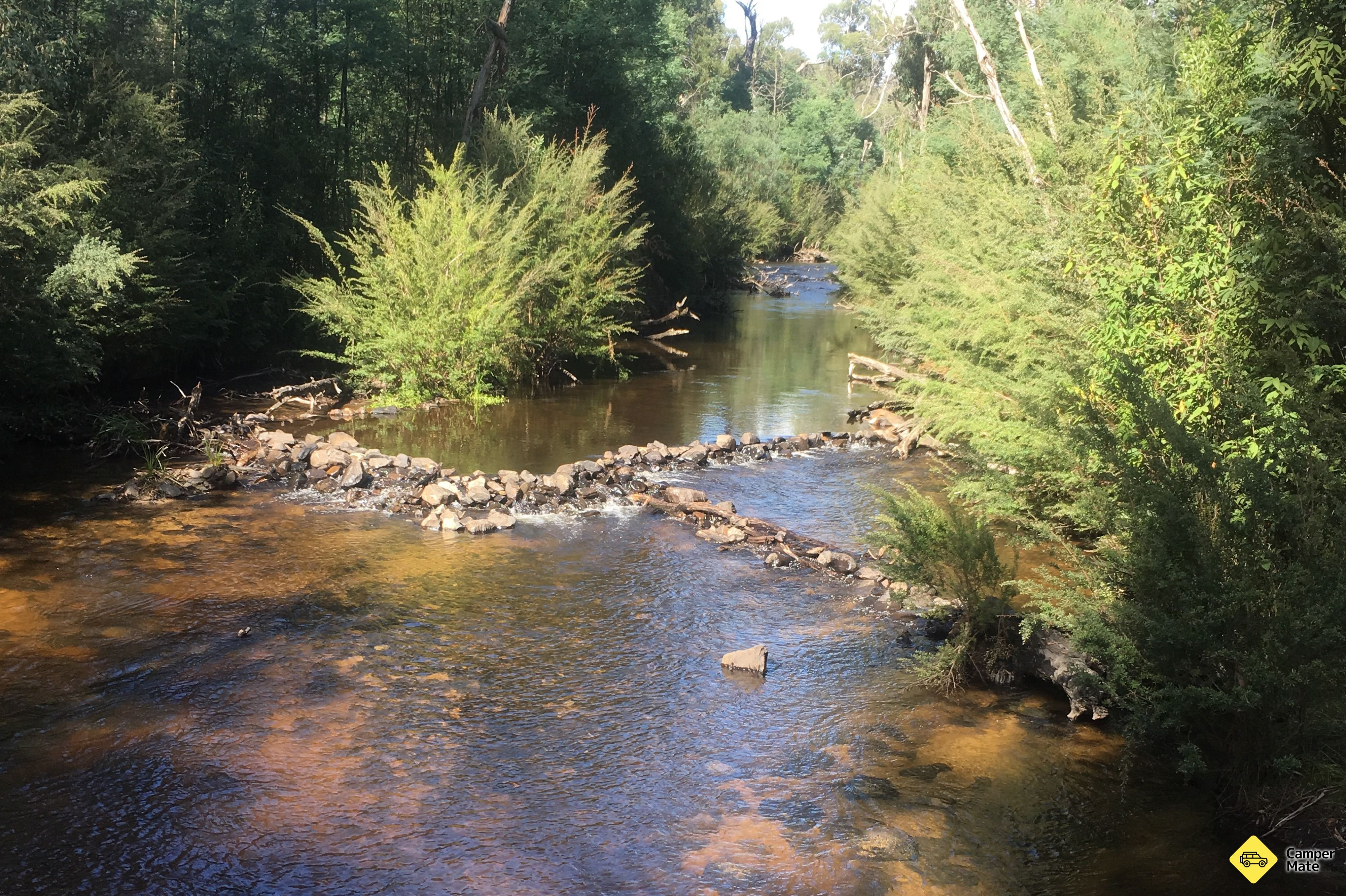 Murrindindi Scenic Reserve - Image 2