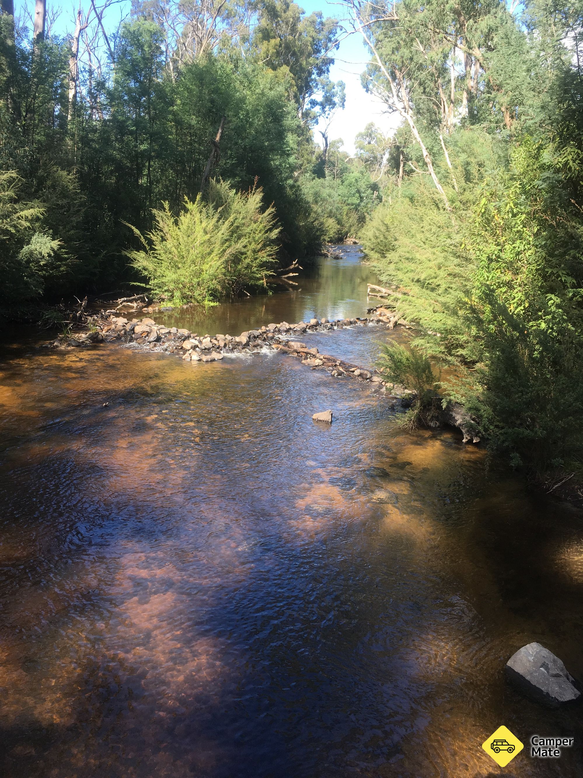 Murrindindi Scenic Reserve - Image 2