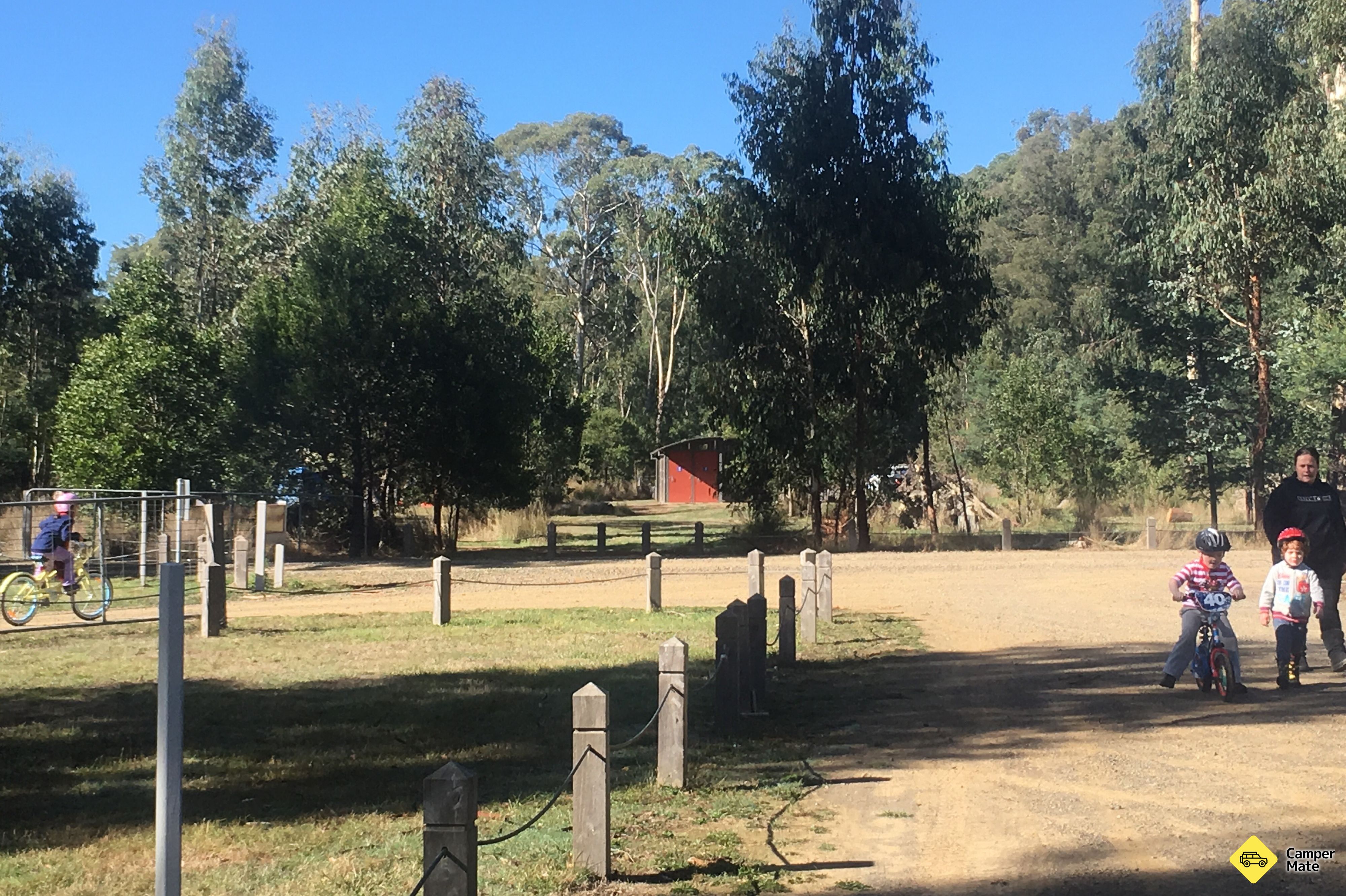 Murrindindi Scenic Reserve