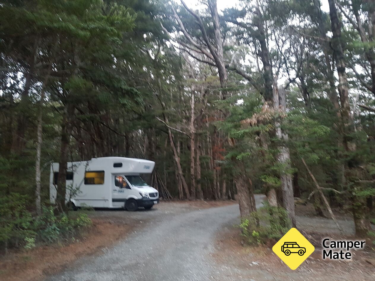 Henry Creek Campsite