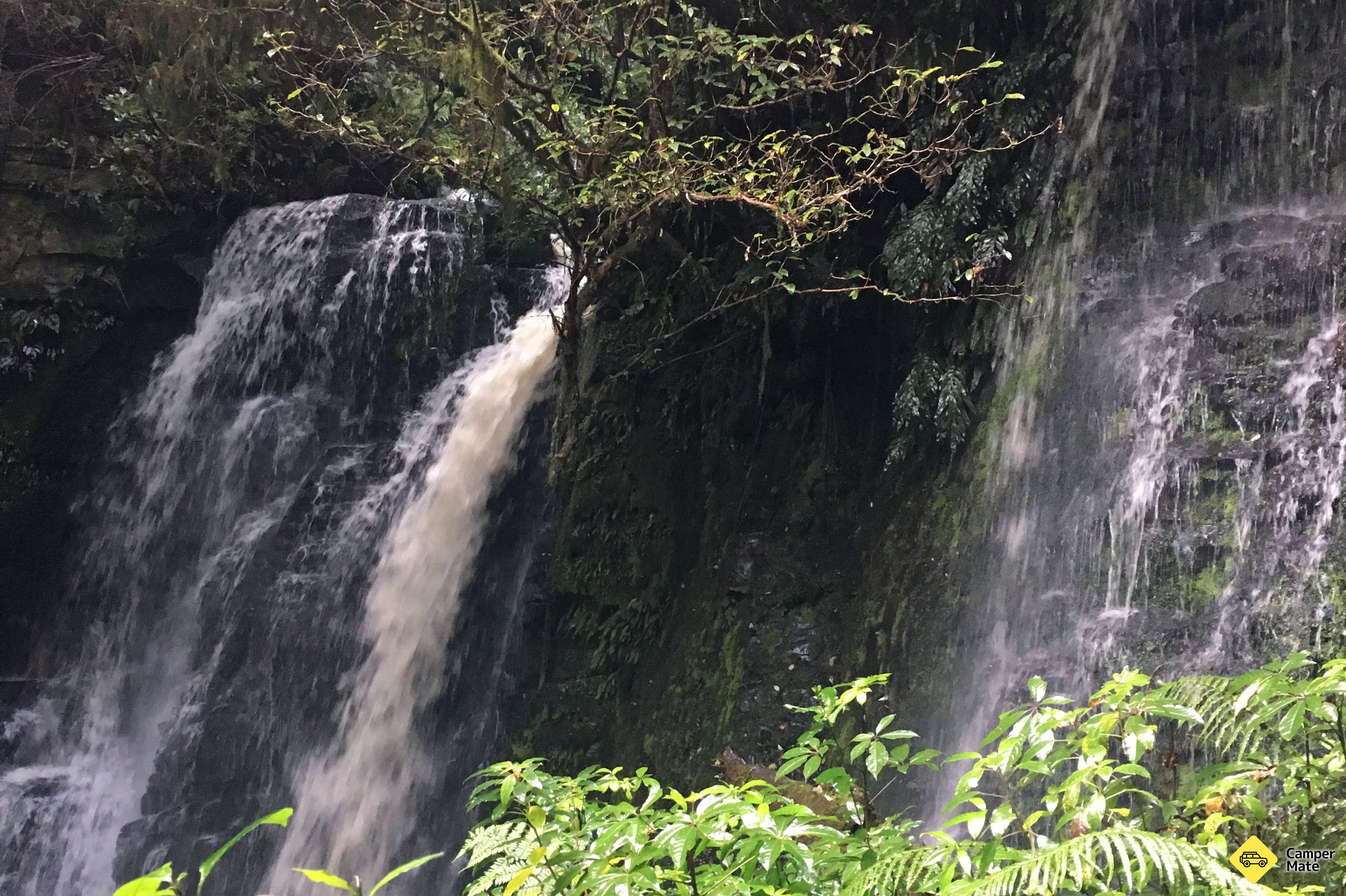 Matai and Horseshoe Falls - Image 2