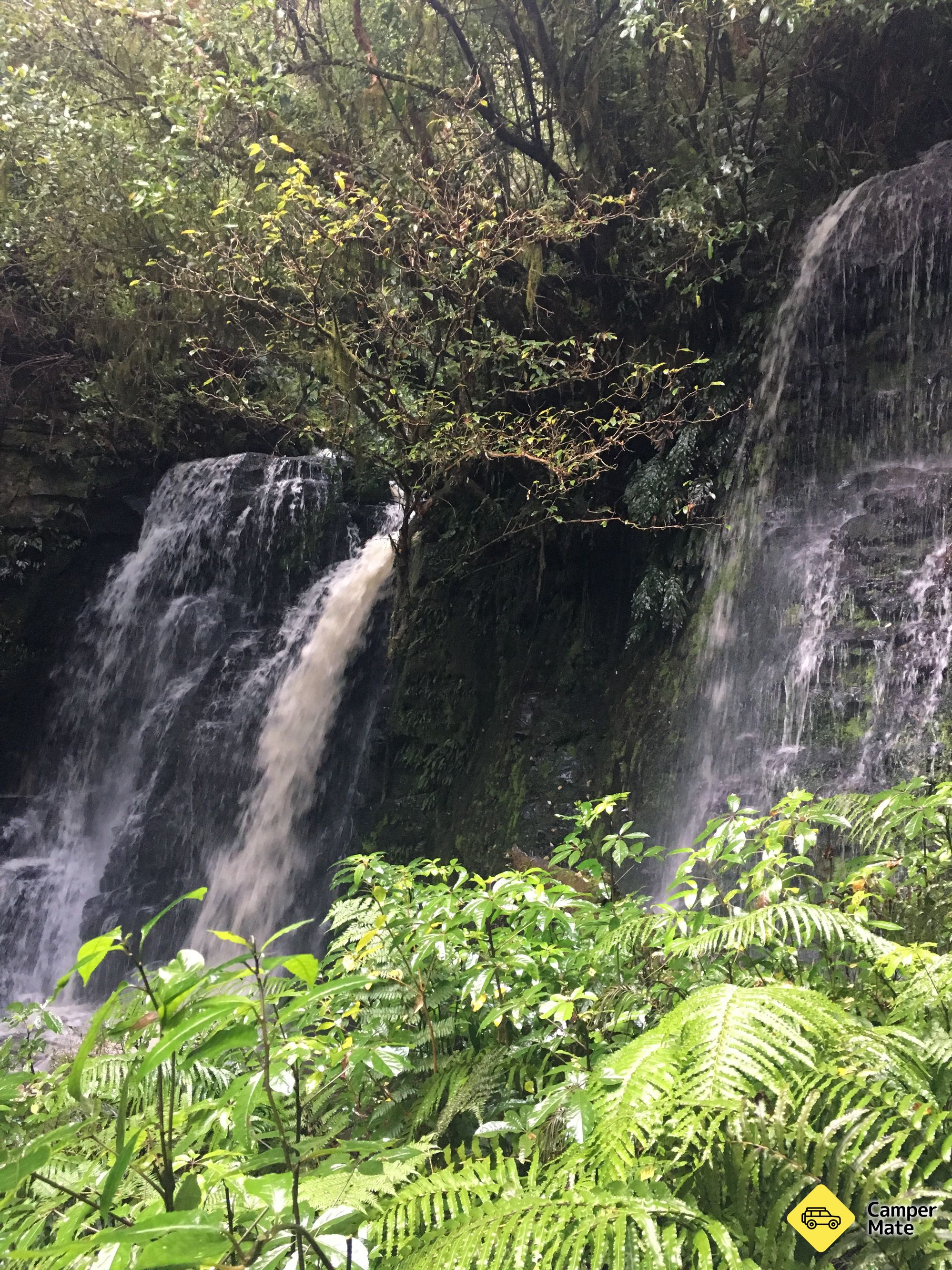 Matai and Horseshoe Falls - Image 2