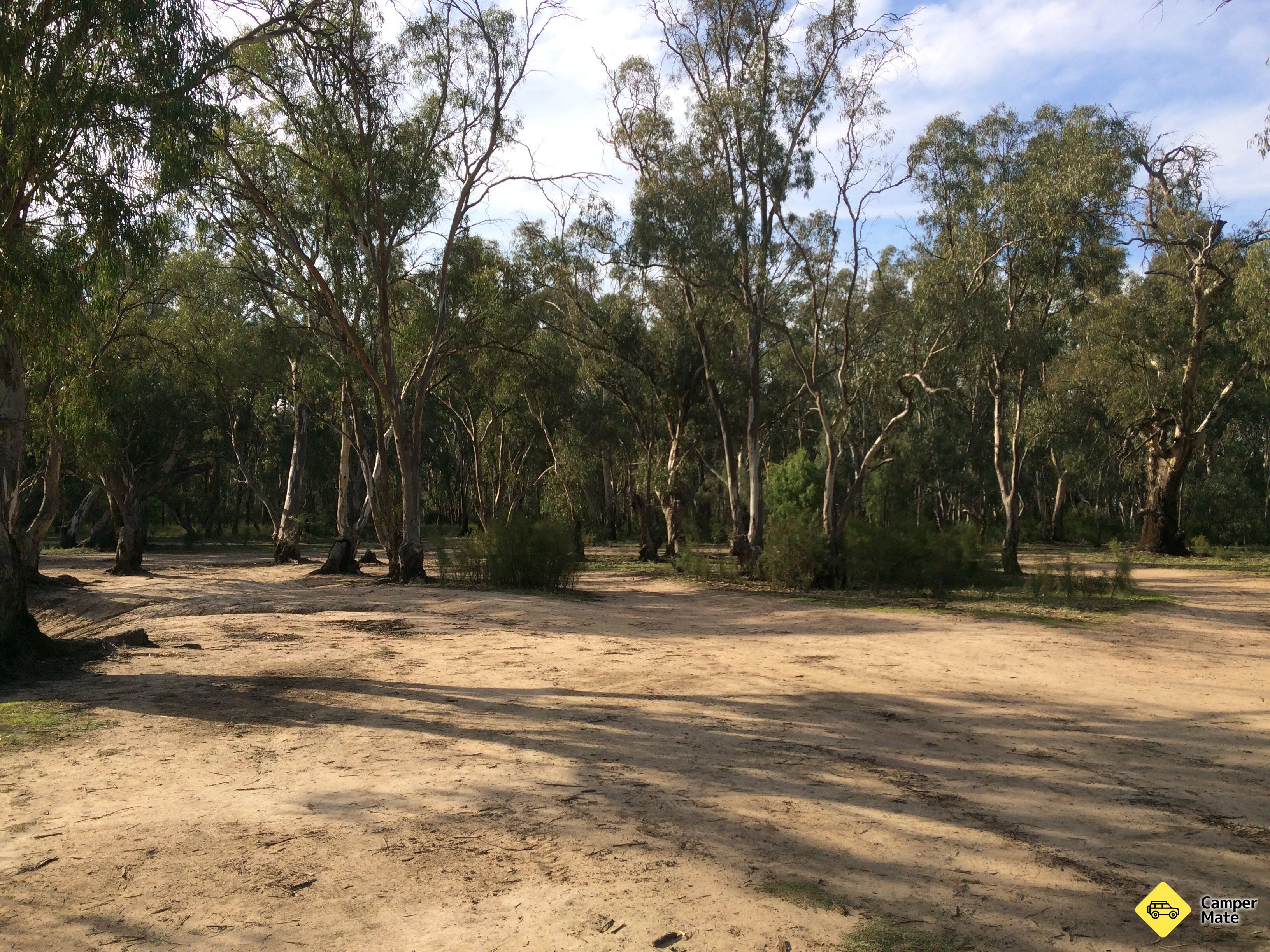 Wood Wood Rest Area - Image 2