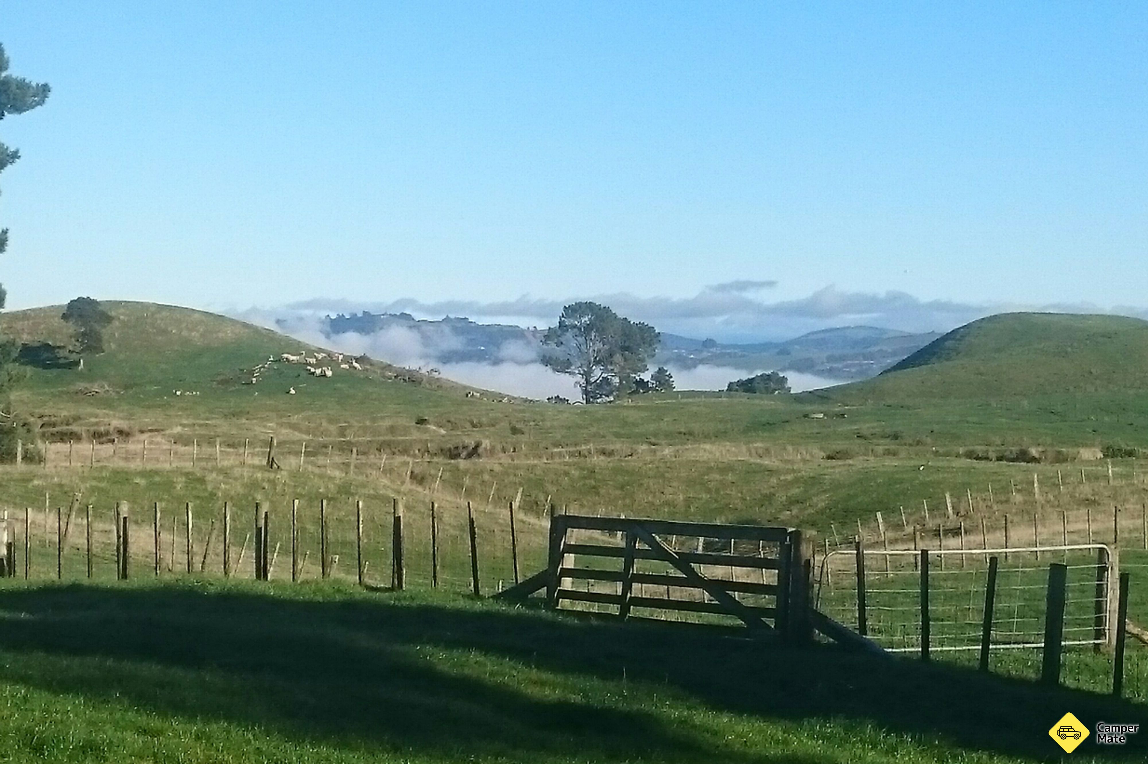 Mount Tauhara Track - Image 2