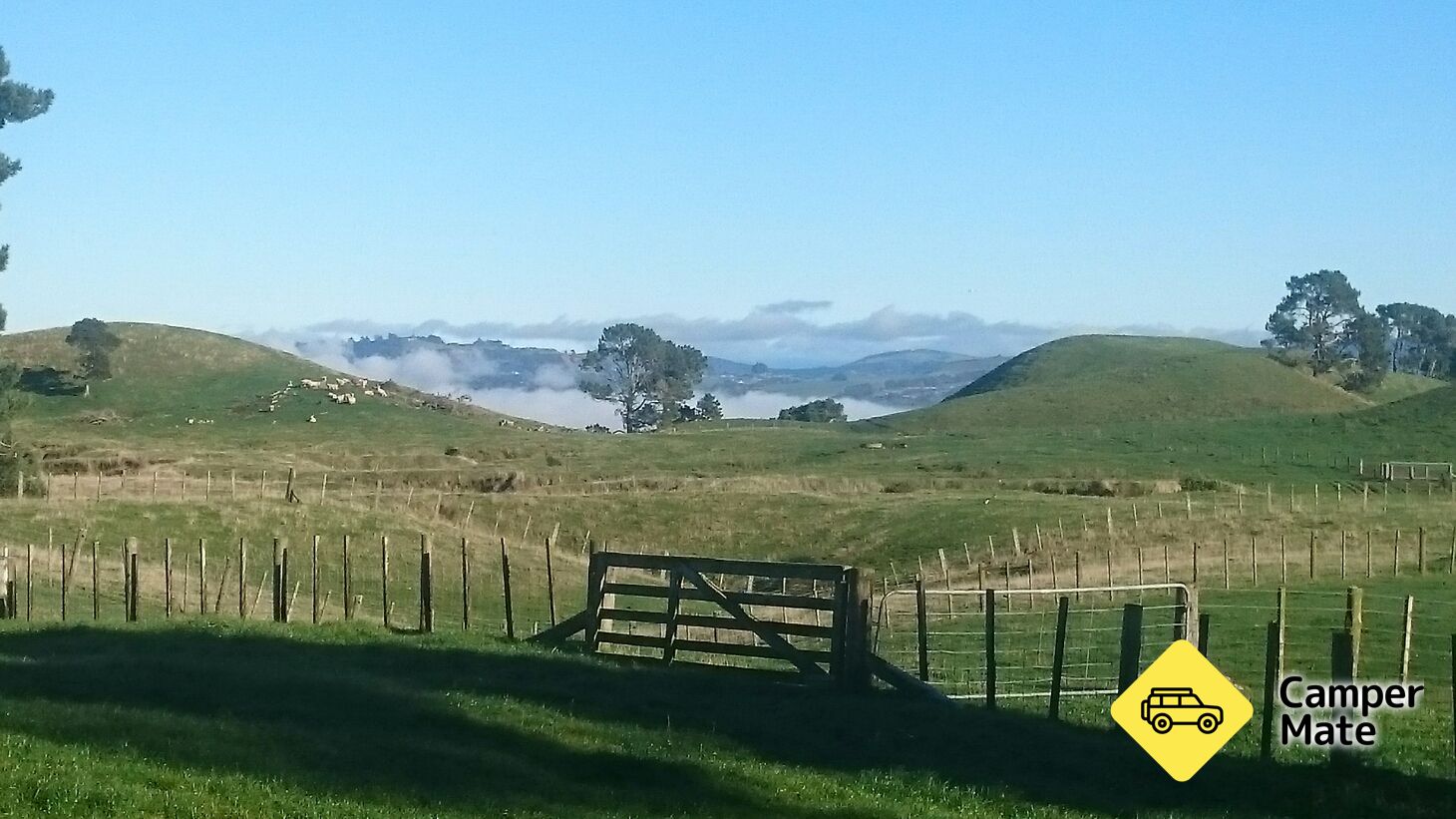 Mount Tauhara Track - Image 2