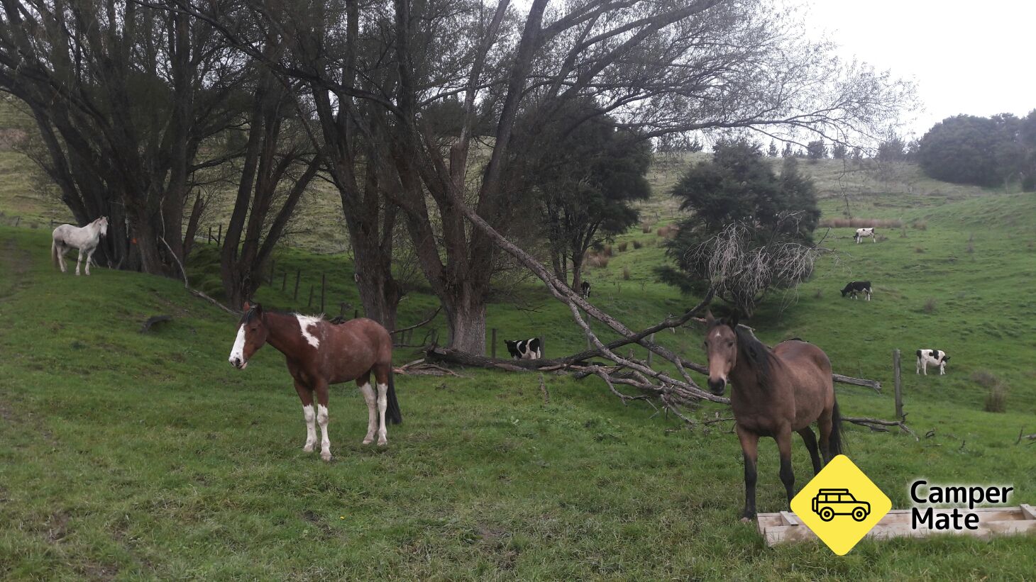 Te Kuri Farm Walkway - Image 2