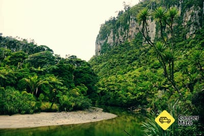 Pororari River Track