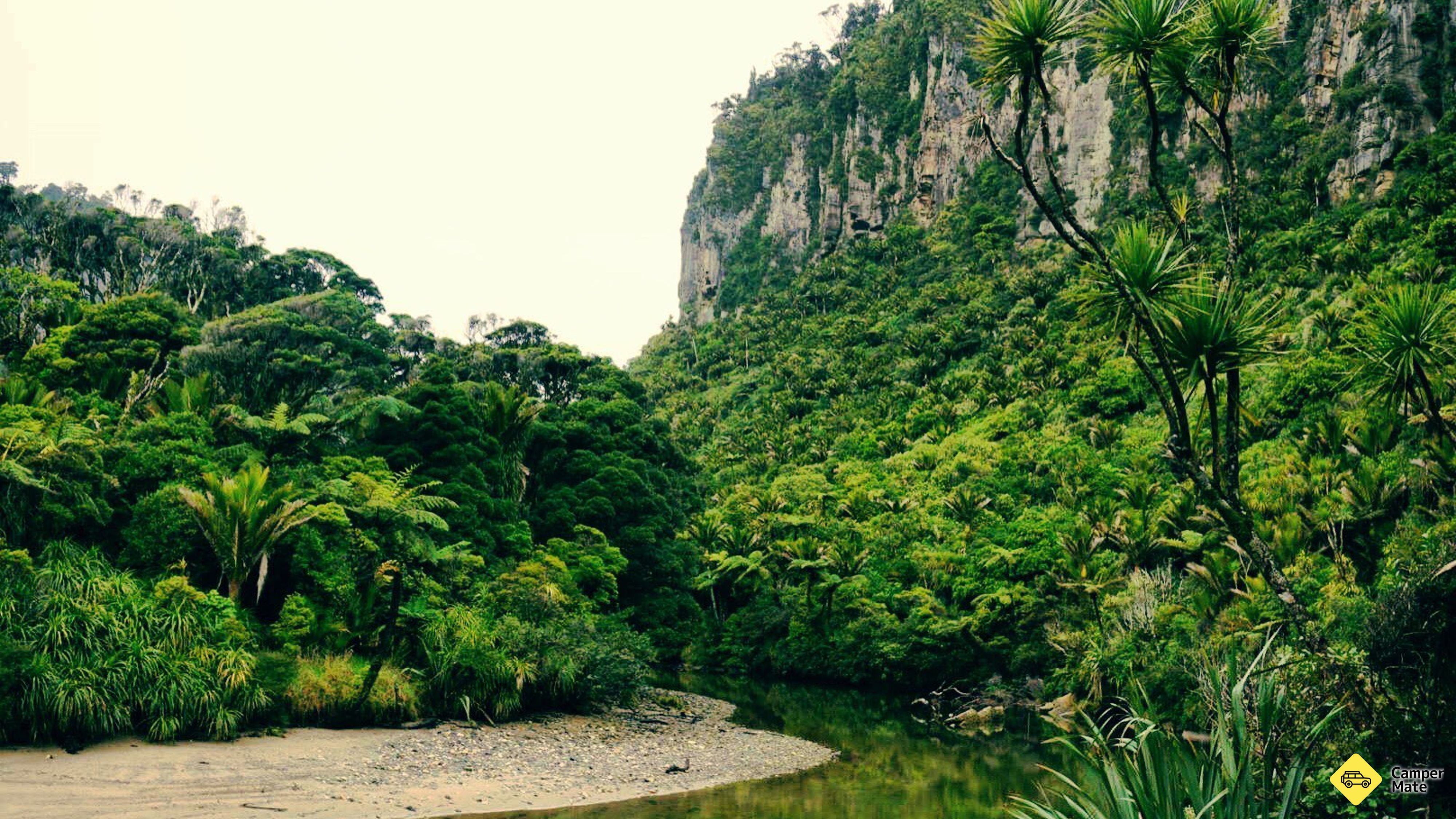 Der Pororari River Track