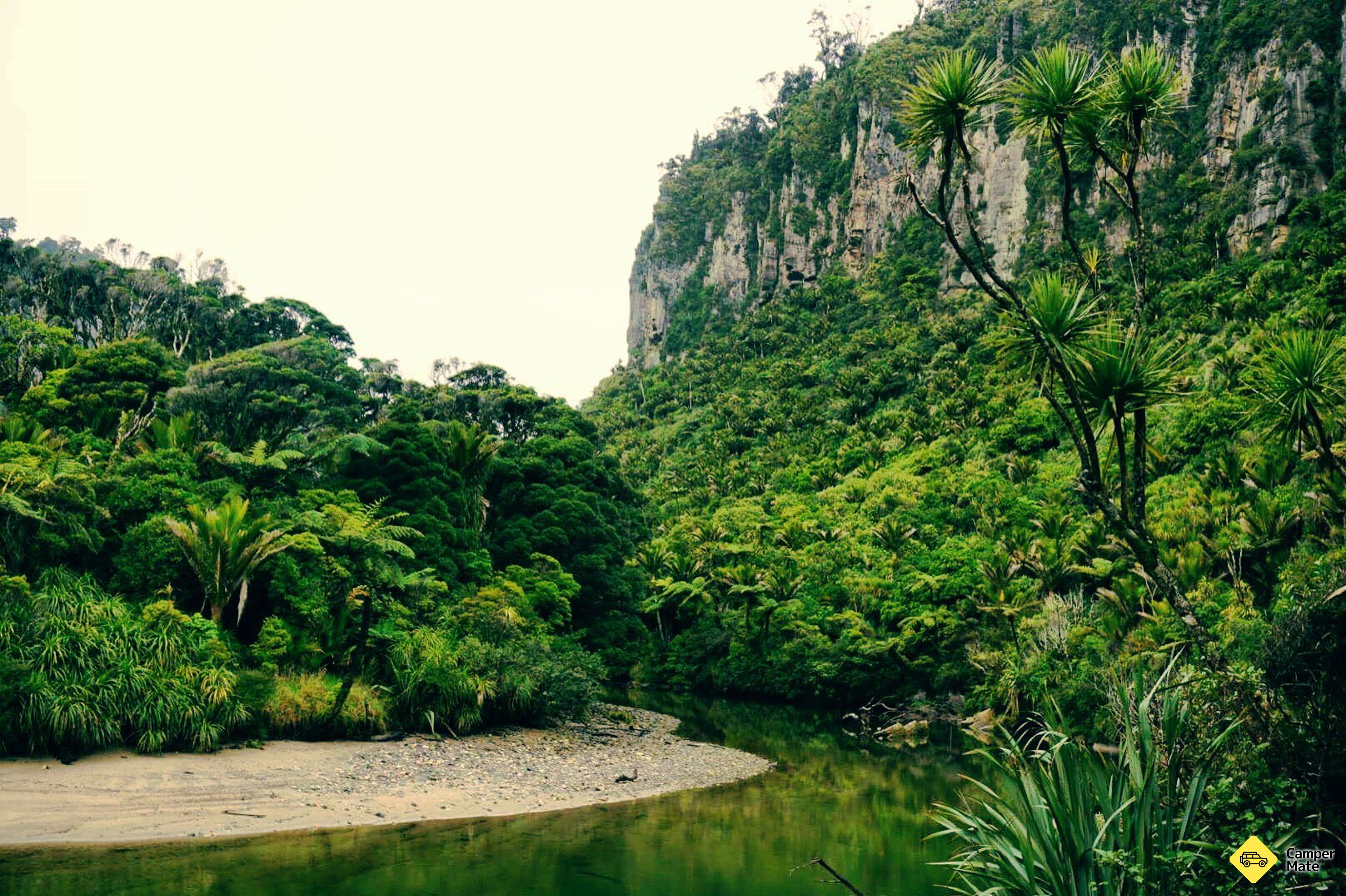 Pororari River Track