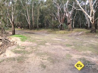Activiteiten in de omgeving van Chinamans Bend - Murray River Reserve