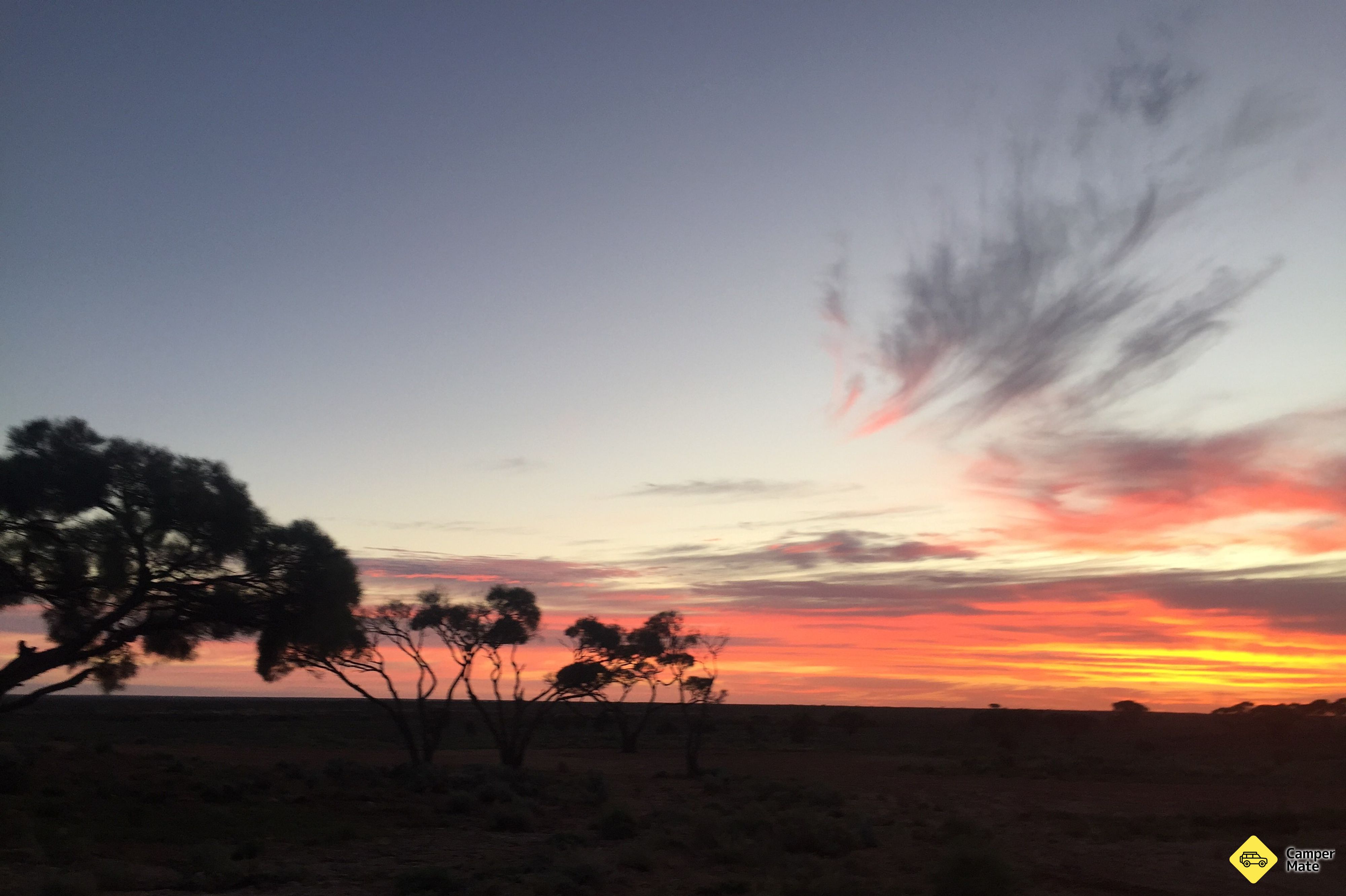 La région de Mulga Well
