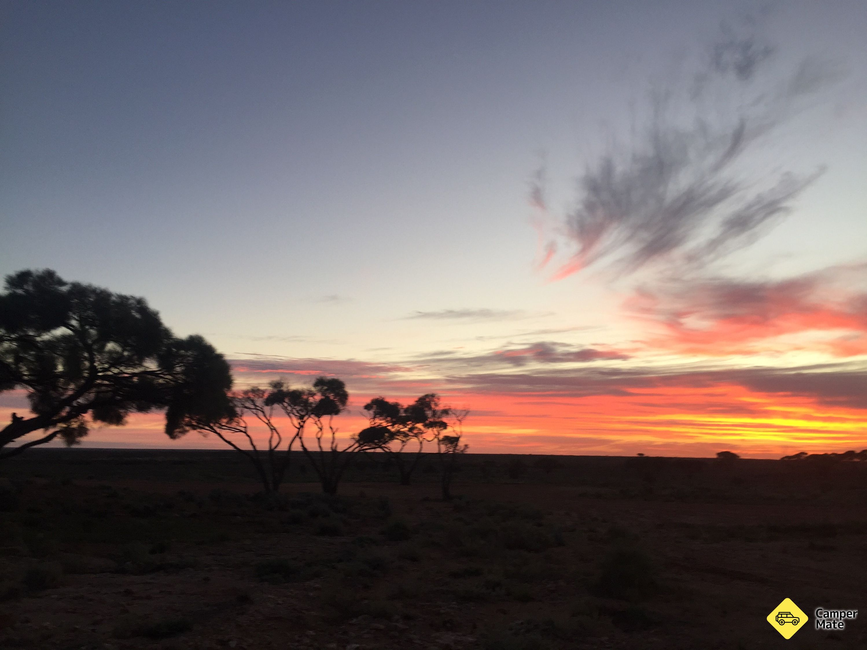 La région de Mulga Well