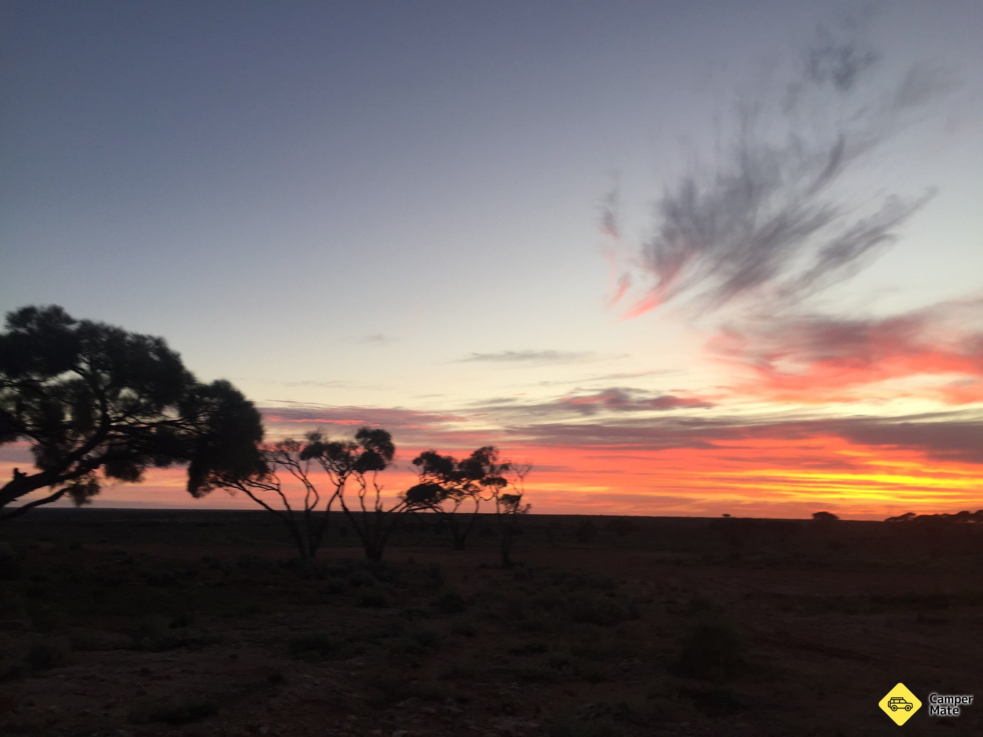 La région de Mulga Well