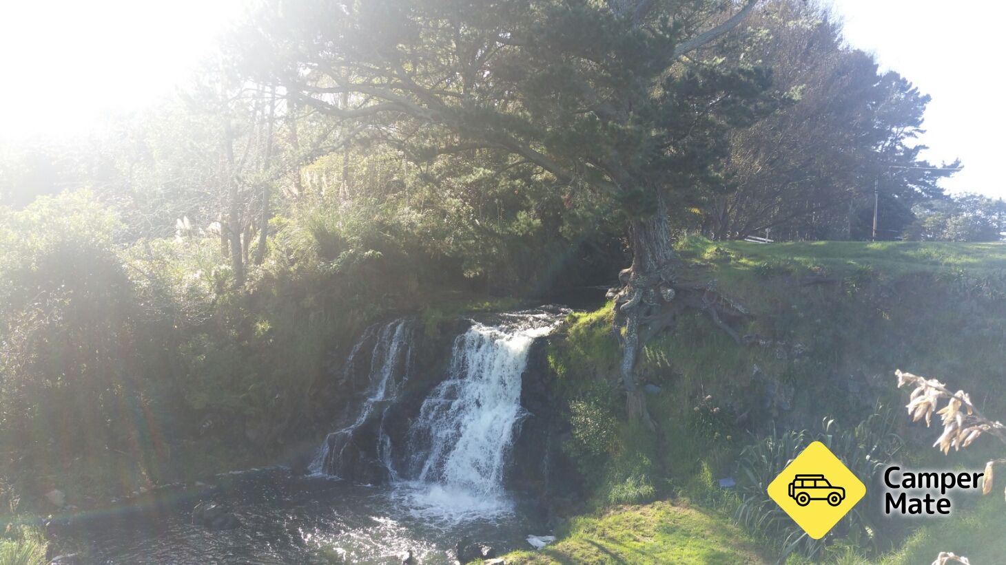 Waitangi Fallsについて - Image 3
