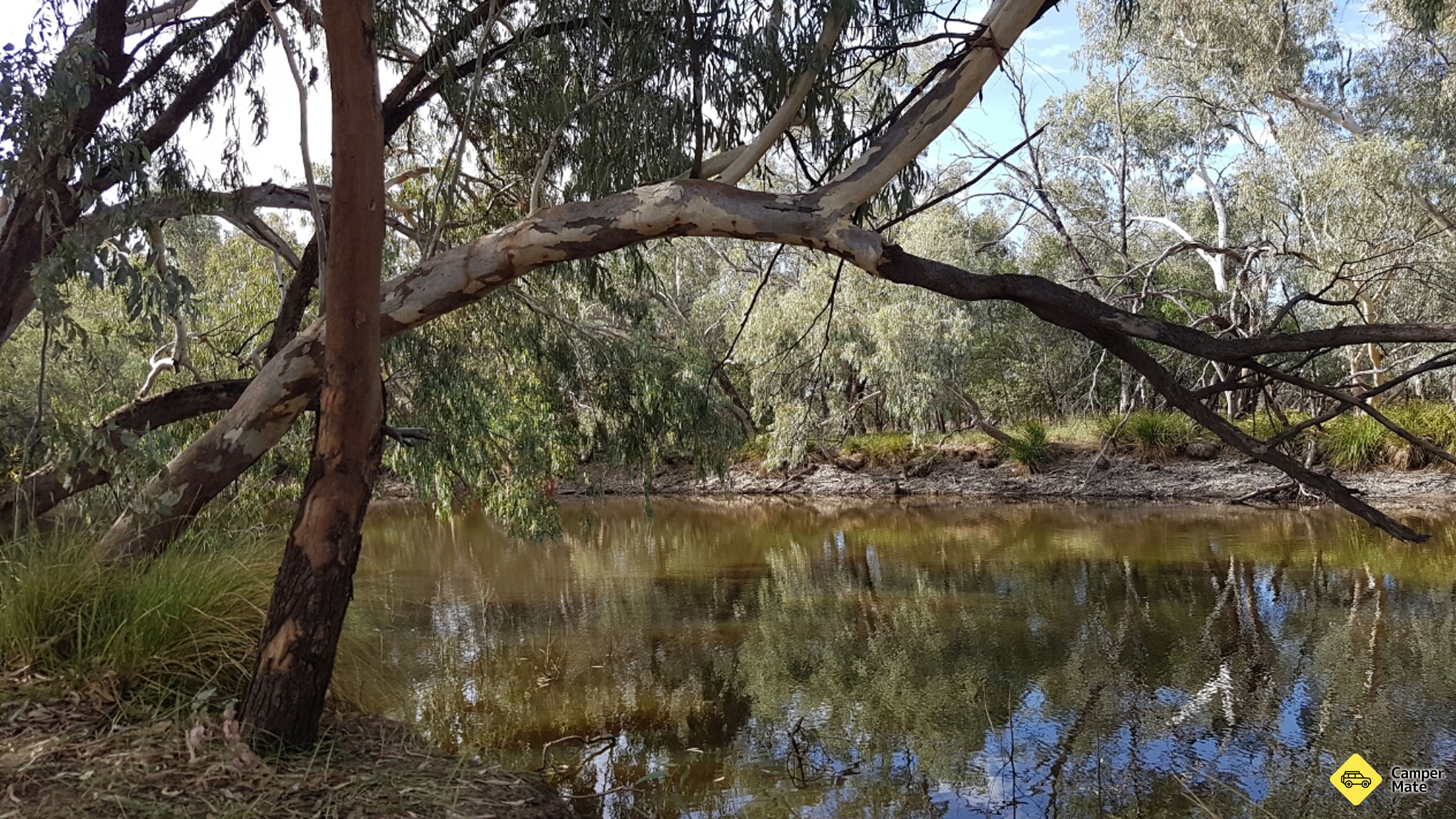 Wallam Creek आराम क्षेत्र