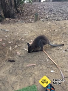 Fortescue Bay Campground
